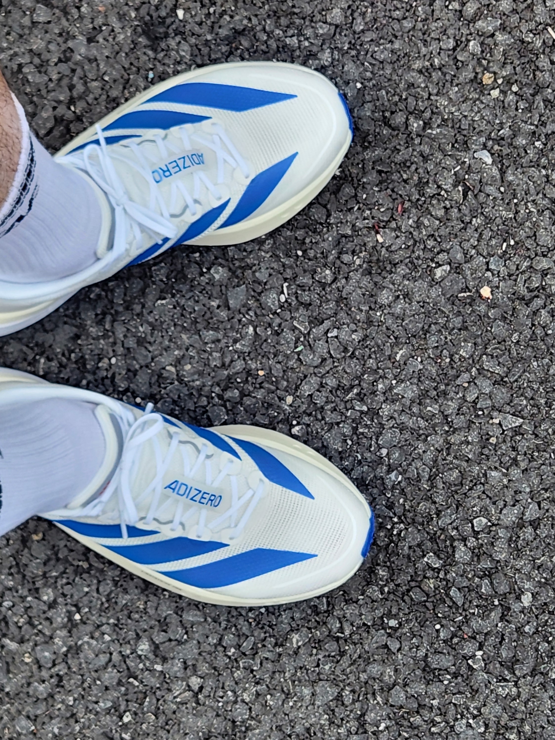 Adidas Adizero Boston 13 Cloud White Royal Blue 착용 스타일