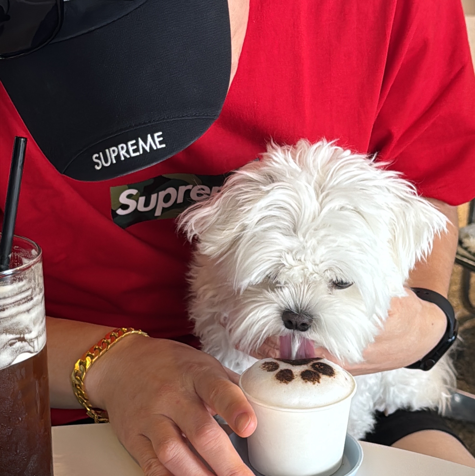 Supreme Box Logo T-Shirt Red - 23FW 착용 스타일