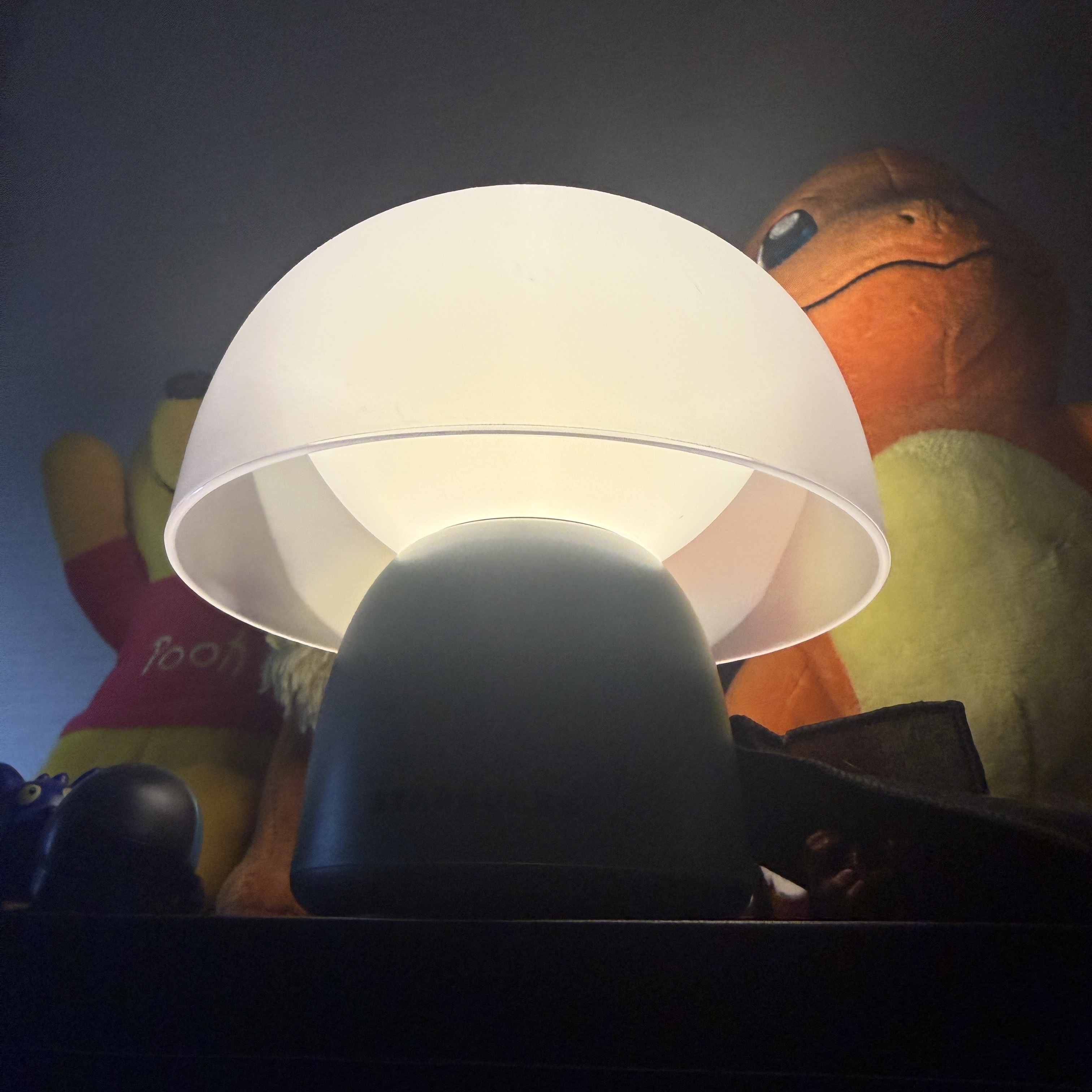 Starbucks x Bonakia Portable Lamp T Green 착용 스타일