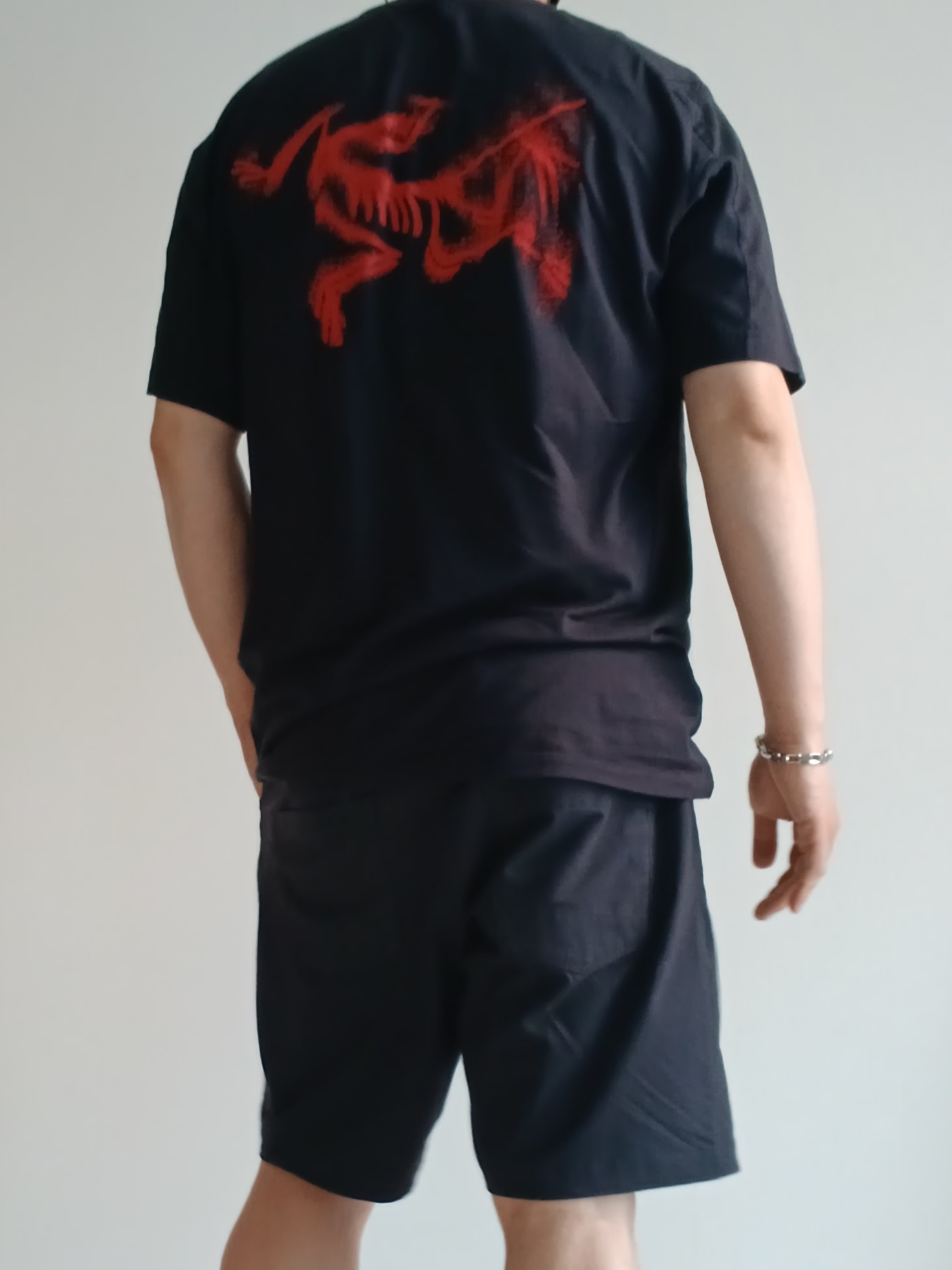Arc'teryx Bird Word Cap 24K Black, Arc'teryx Kragg SL Cotton Blurred Bird SS T-Shirt Black Dynasty 착용 스타일 - 8