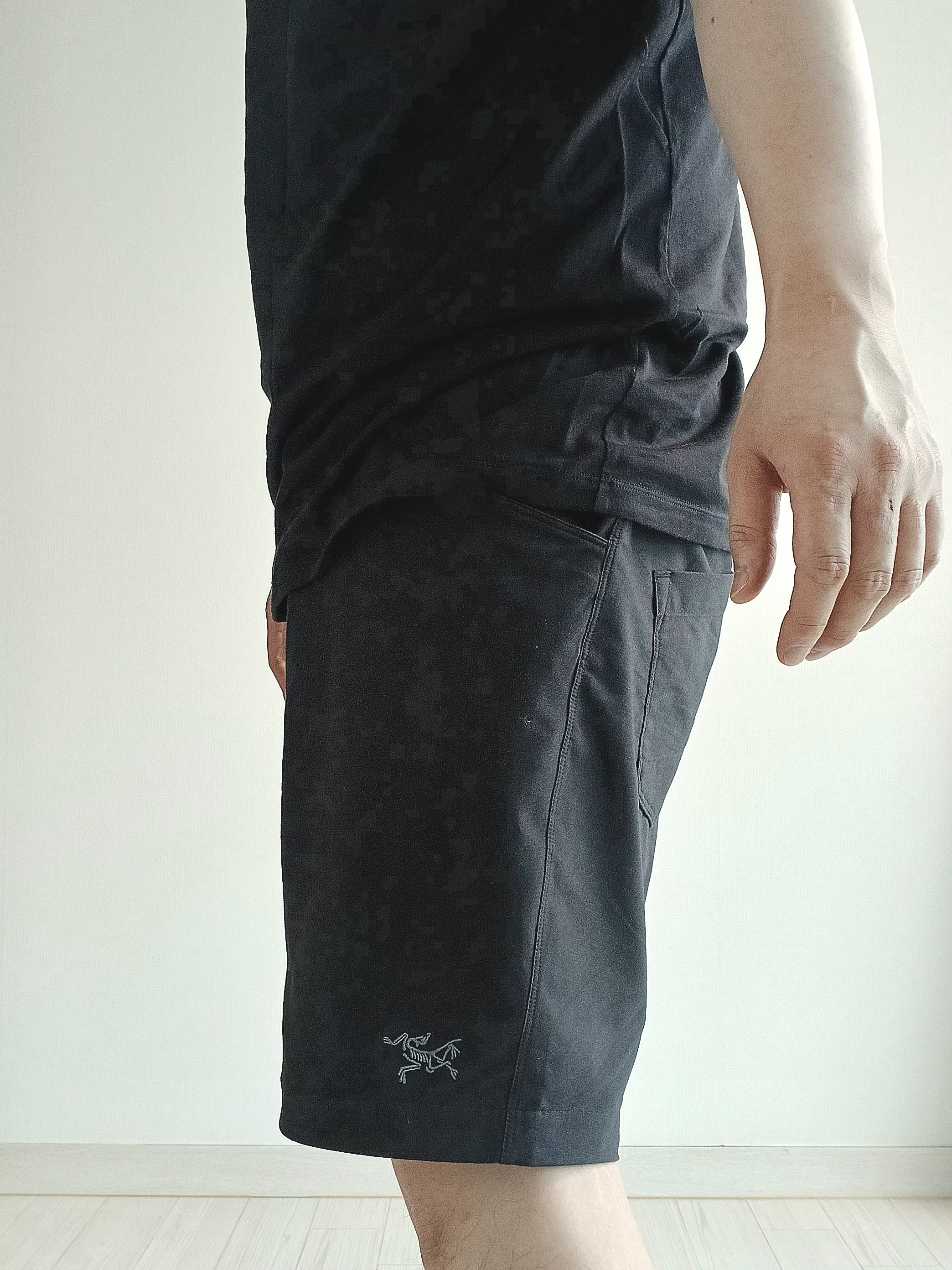 Arc'teryx Bird Word Cap 24K Black, Arc'teryx Kragg SL Cotton Blurred Bird SS T-Shirt Black Dynasty 착용 스타일 - 3