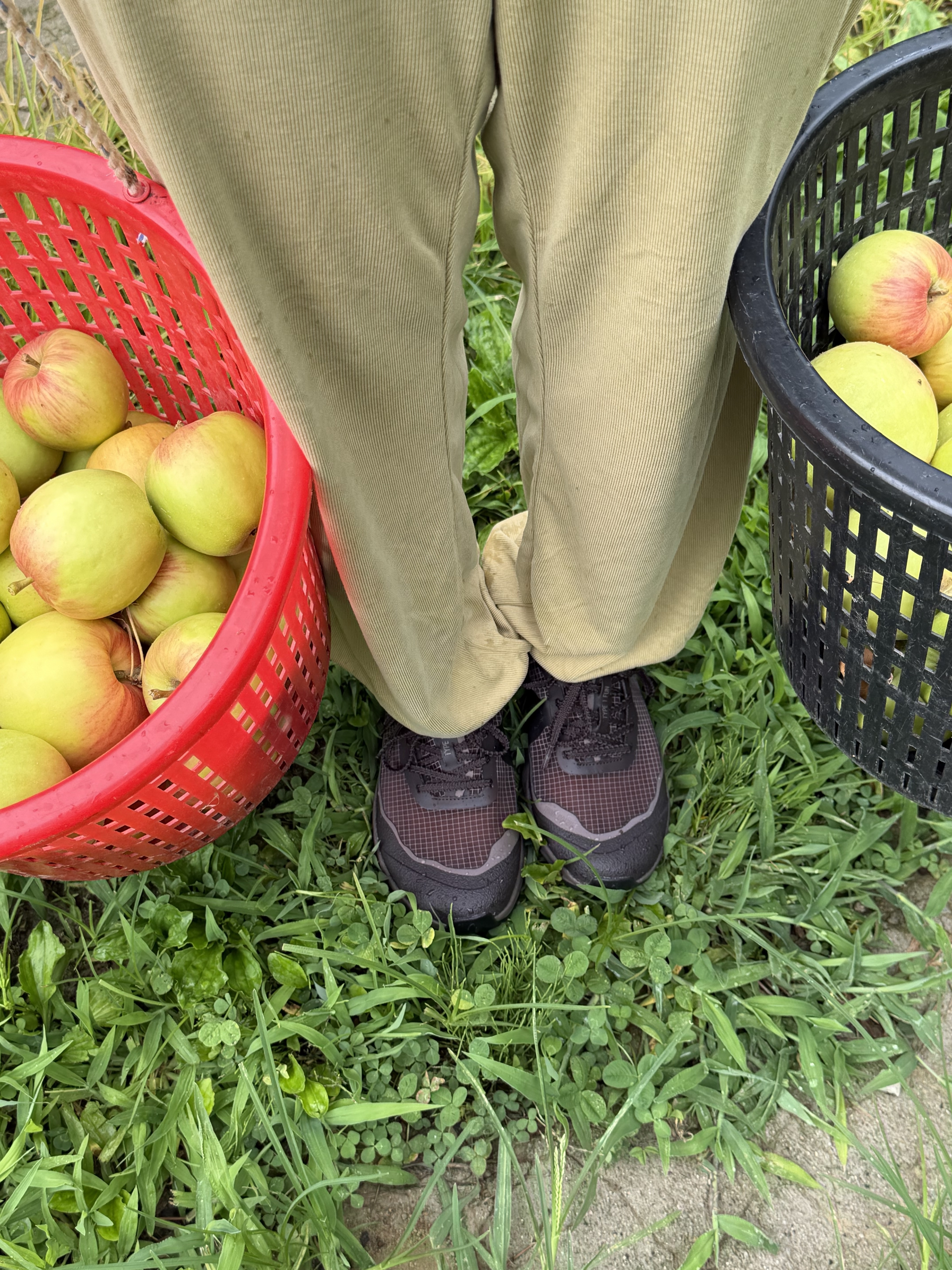 [예약판매 7/31 순차출고] SIERRA DESIGNS MUIRHIKE-10 Brown 착용 스타일 - 2