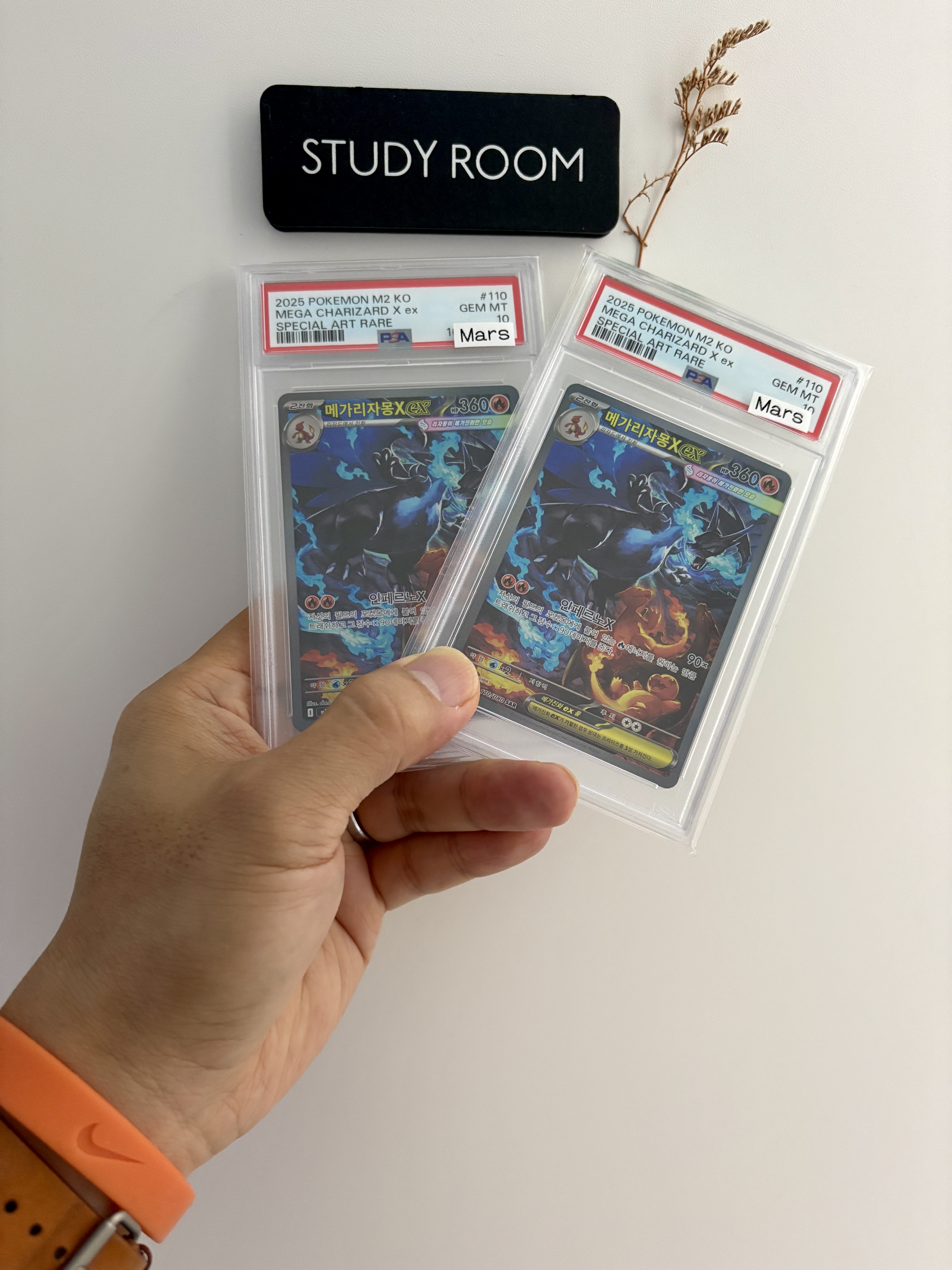 Pokemon TCG Mega Charizard X ex SAR Inferno X (Korean Ver.) 착용 스타일