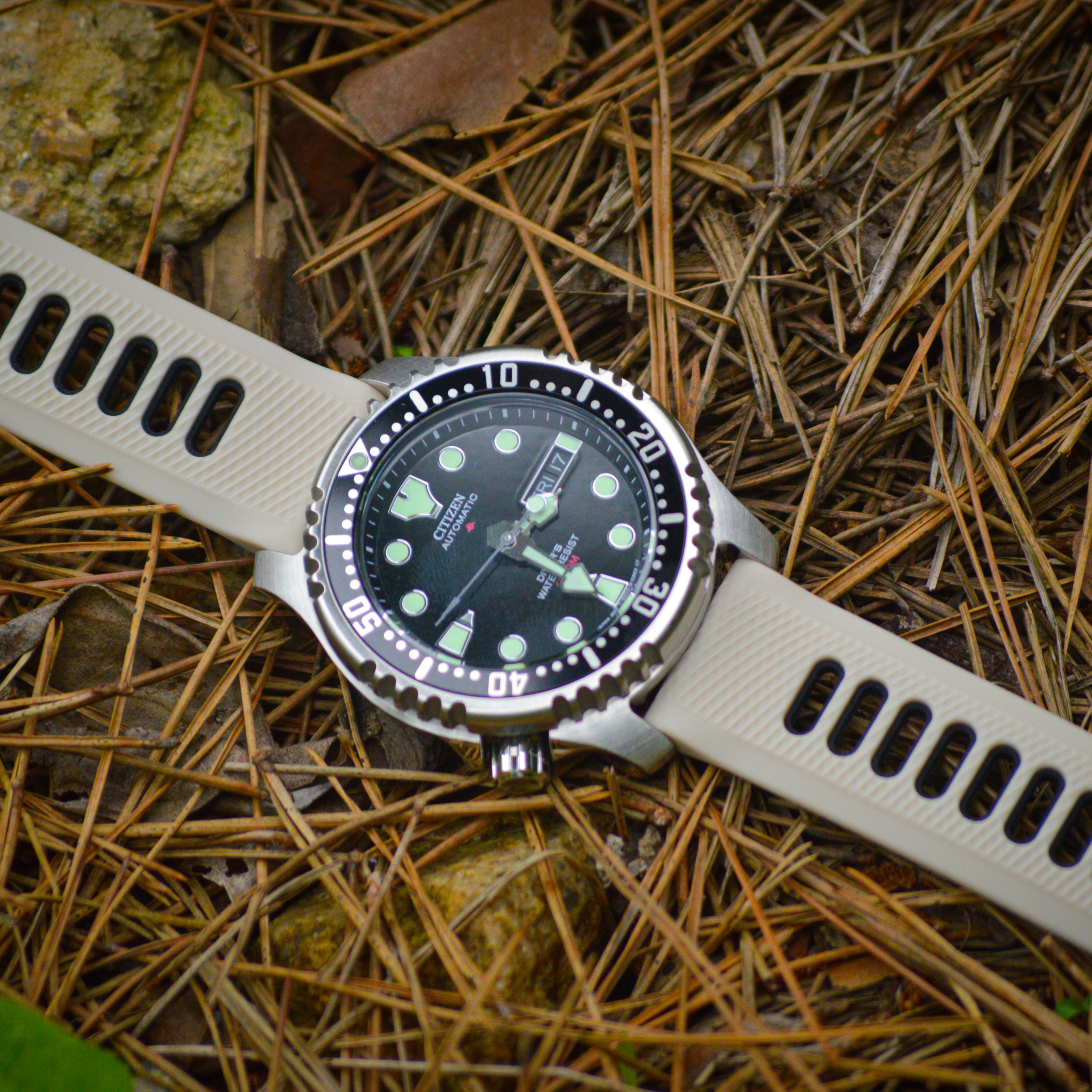 Citizen Promaster Diver Automatic 200M 42mm Stainless Steel Black 착용 스타일 - 1