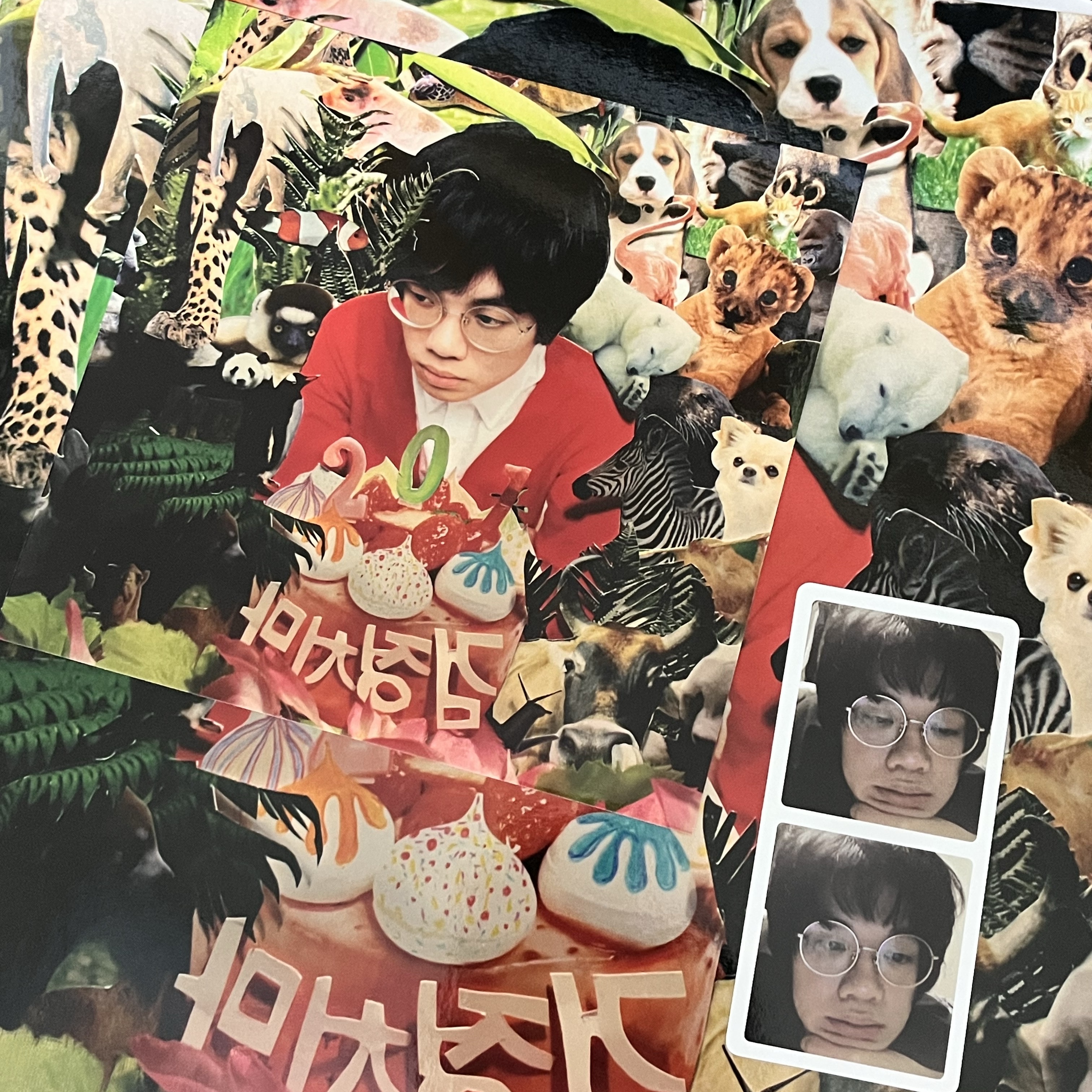 The Black Skirts 1st Album 201 LP Red Glitter 착용 스타일 - 2