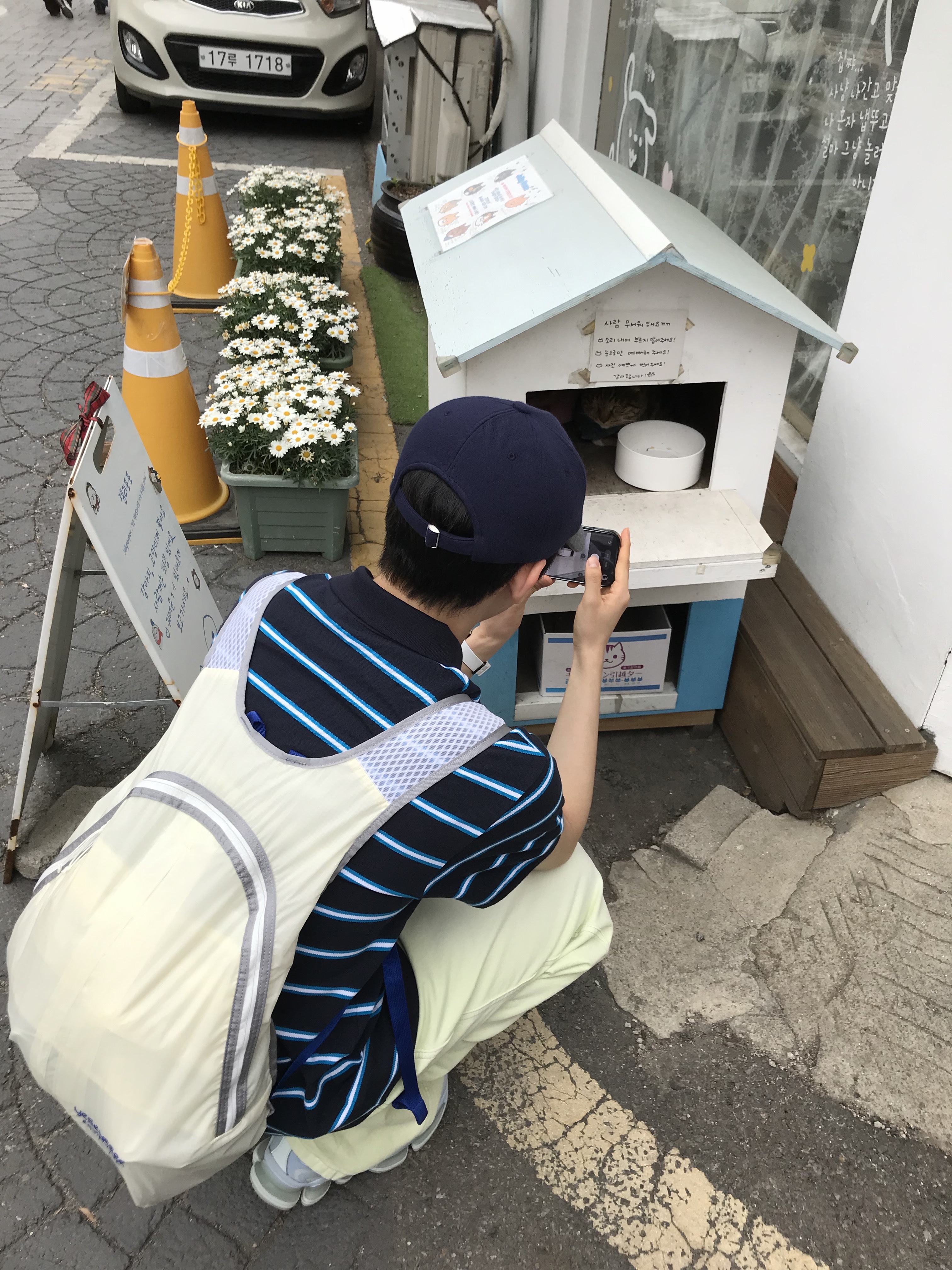 [더블적립] YESEYESEE Y.E.S UL Beetle Backpack White, New Balance 2000 Abzorb Oxford Blue Dry Lime 착용 스타일 - 1