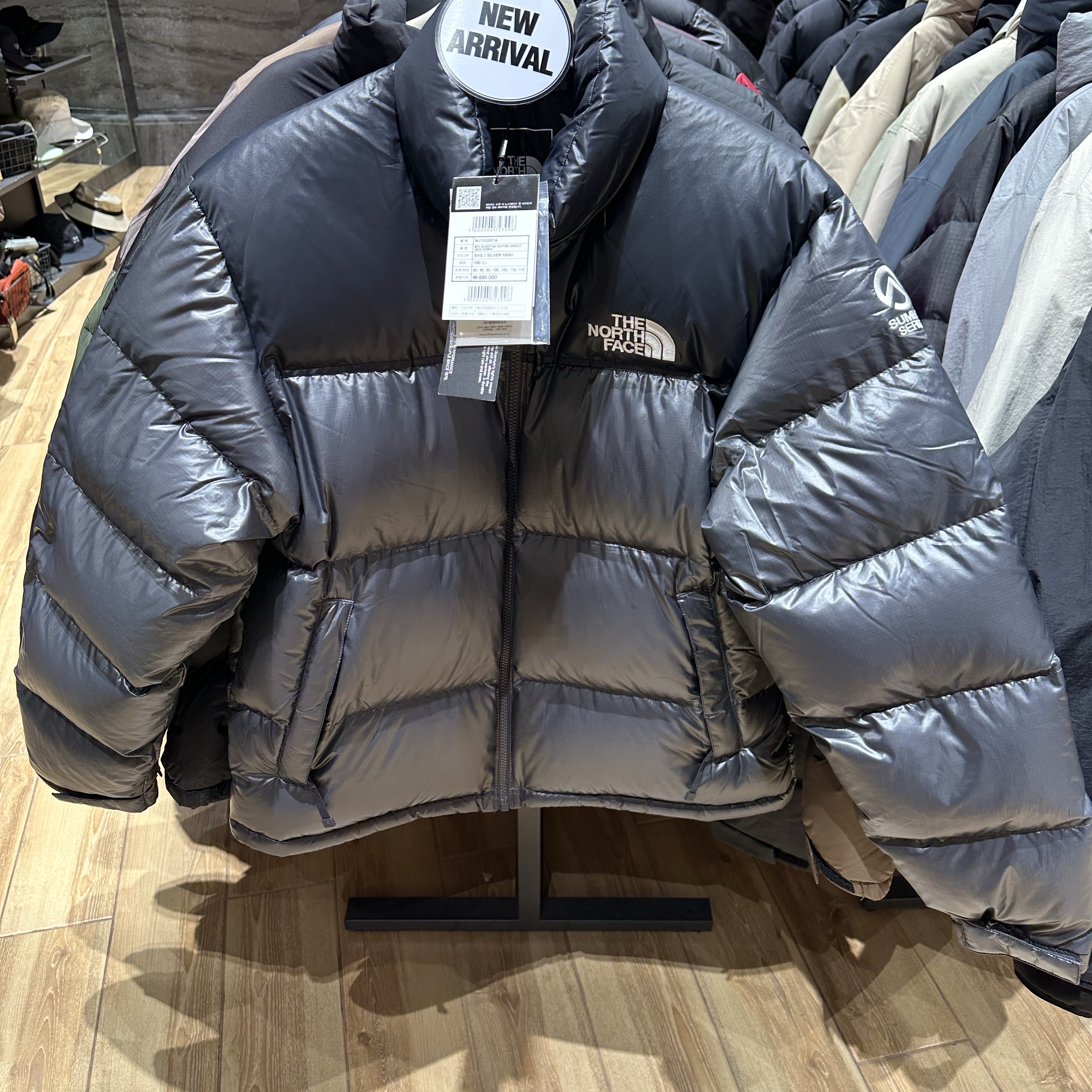 The North Face Quantum Nuptse RDS Down Jacket Silver Gray 착용 스타일