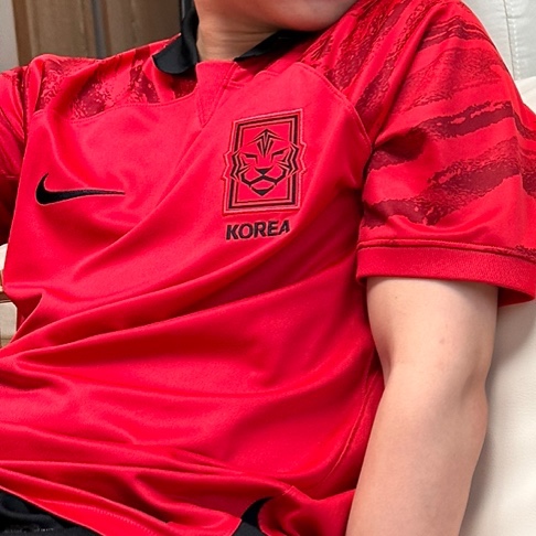 Nike Korea Dri-Fit Stadium Home SS Jersey Global Red - Asia (Non Marking Ver.) 착용 스타일