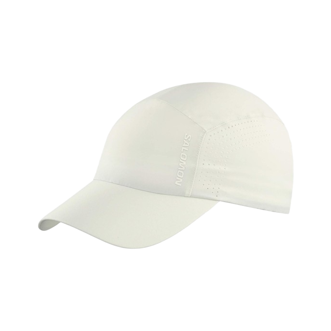 LC2531100 Salomon Shakeout Cap Icicle