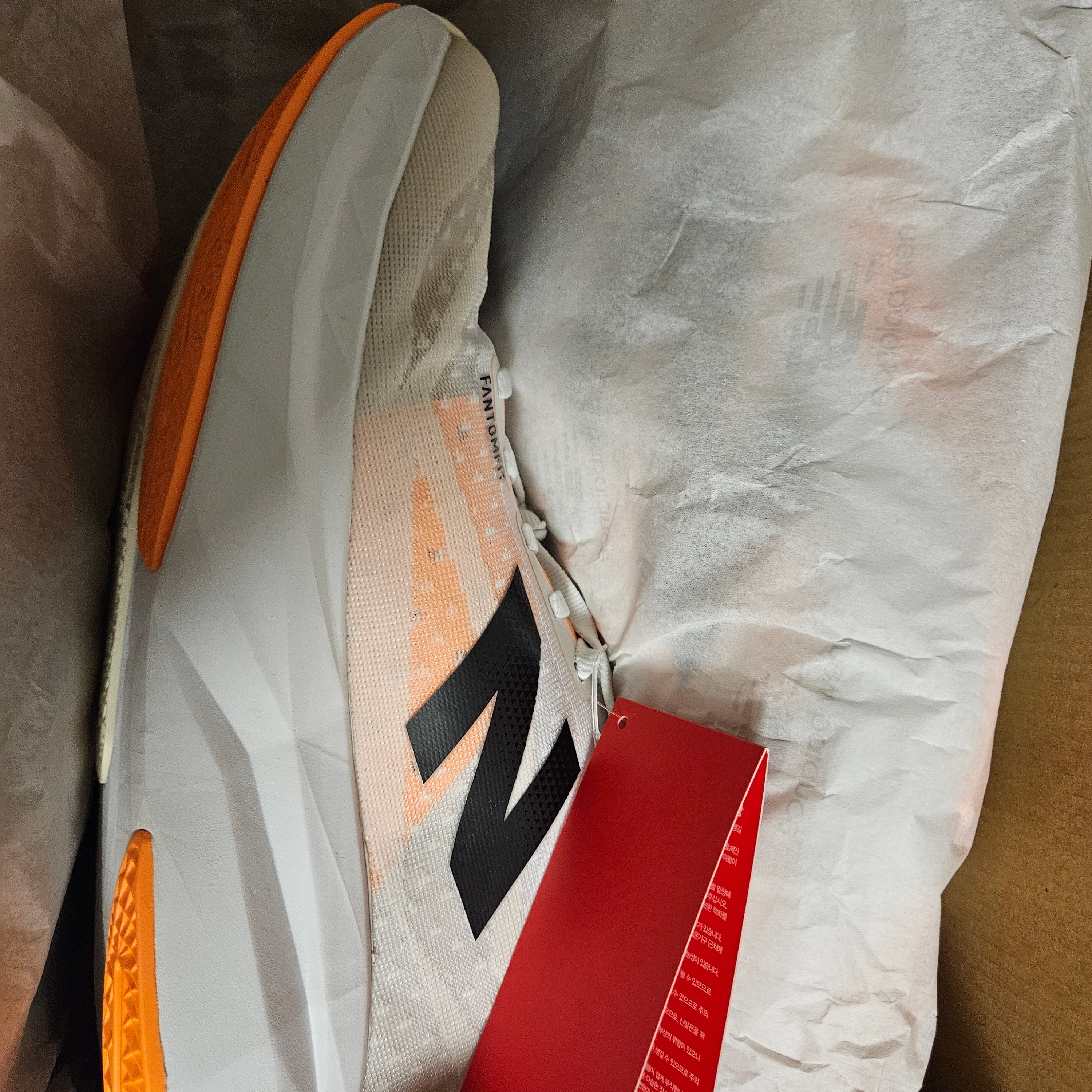 New Balance Fuelcell Rebel v4 Ivory - D Standard 착용 스타일