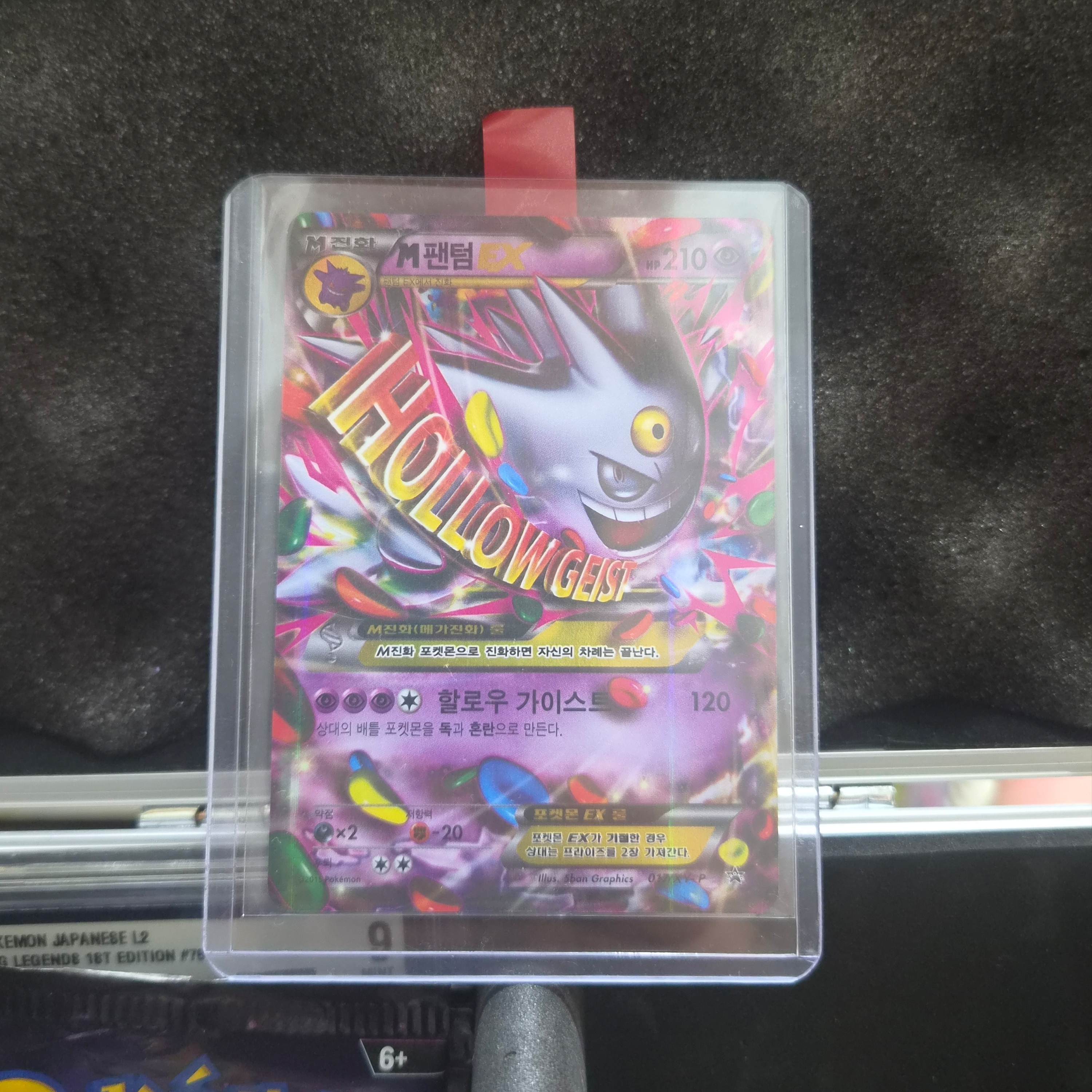Pokemon TCG M Gengar ex P XY Promos (Japanese Ver.) 착용 스타일