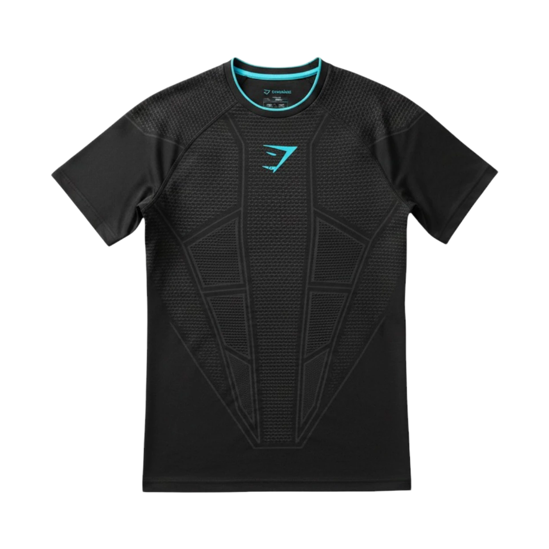 짐샤크 오닉스 V1 티셔츠 블랙 오닉스 그레이(Gymshark Onyx V1 T-Shirt Black Onyx Grey)