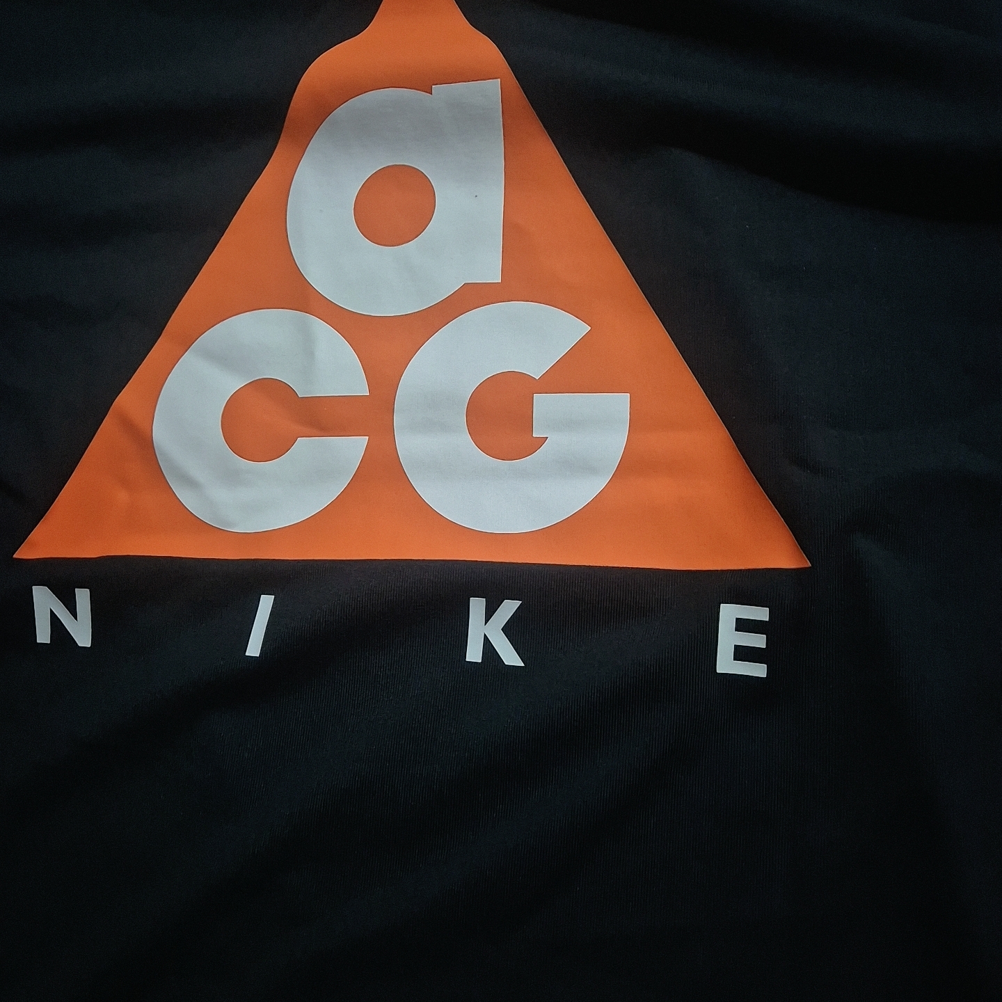 Nike ACG Max 90 T-Shirt Black - Asia 착용 스타일
