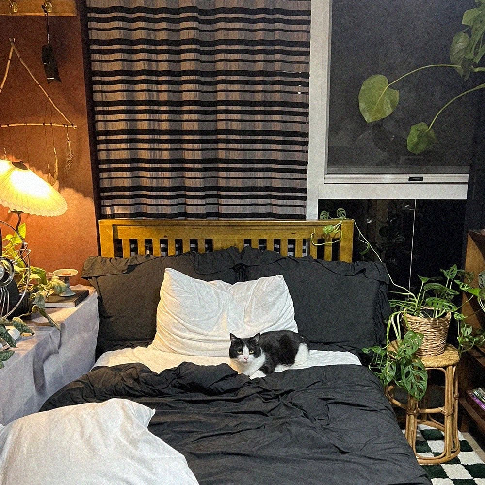 무성화 링클 스트라이프 블라인드 봉집형 커튼 120x230cm(MUSEONGHWA Linkle stripe blind curtain 120x230cm) - 3