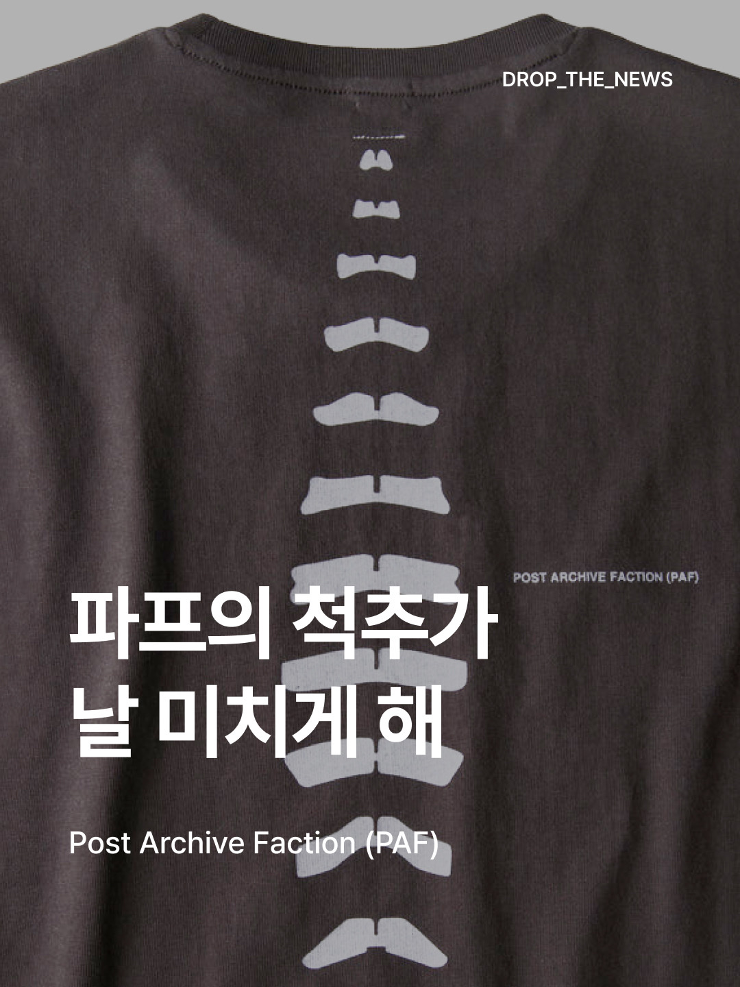 Post Archive Faction (PAF) Souvenir T-Shirt 2026 Paris Edition Black, Post Archive Faction (PAF) Souvenir T-Shirt 2026 Paris Edition Brown μ°©μ© μ€νμΌ - 1