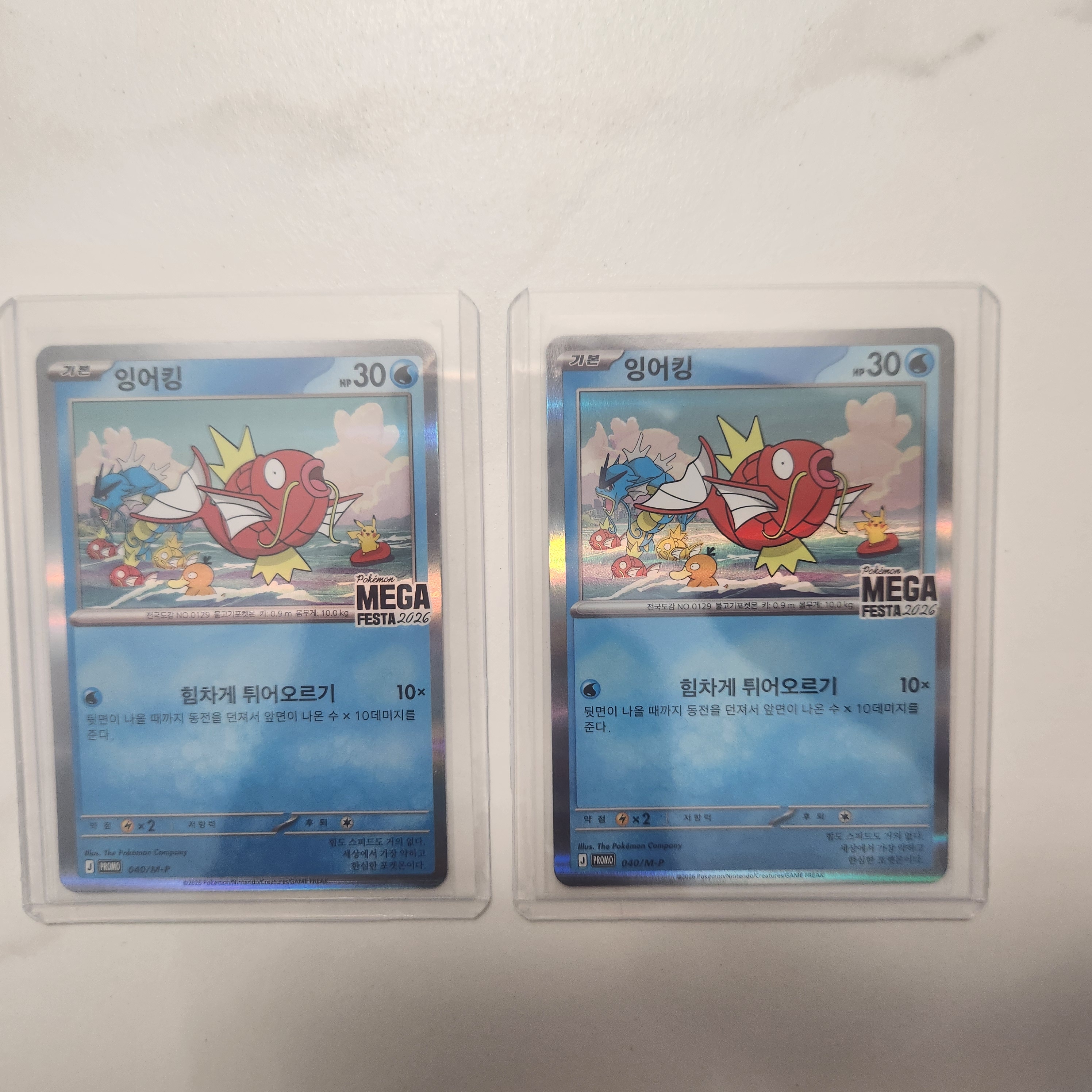 Pokemon TCG Mega Festa 2026 Promo Card Magikarp 착용 스타일 - 2
