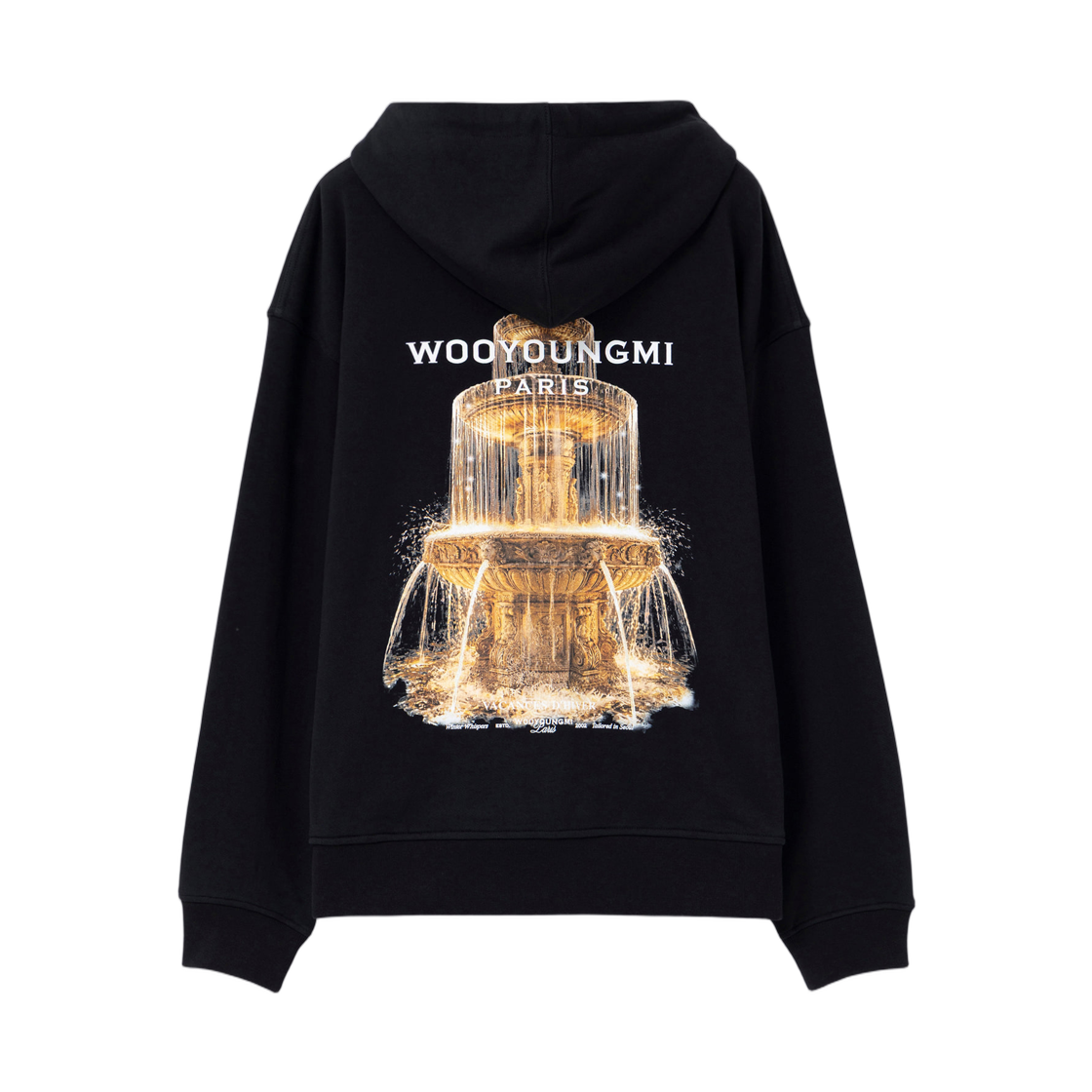 W263TS35742B Wooyoungmi Fountain Graphic Hooded T-Shirt Black - 26FW