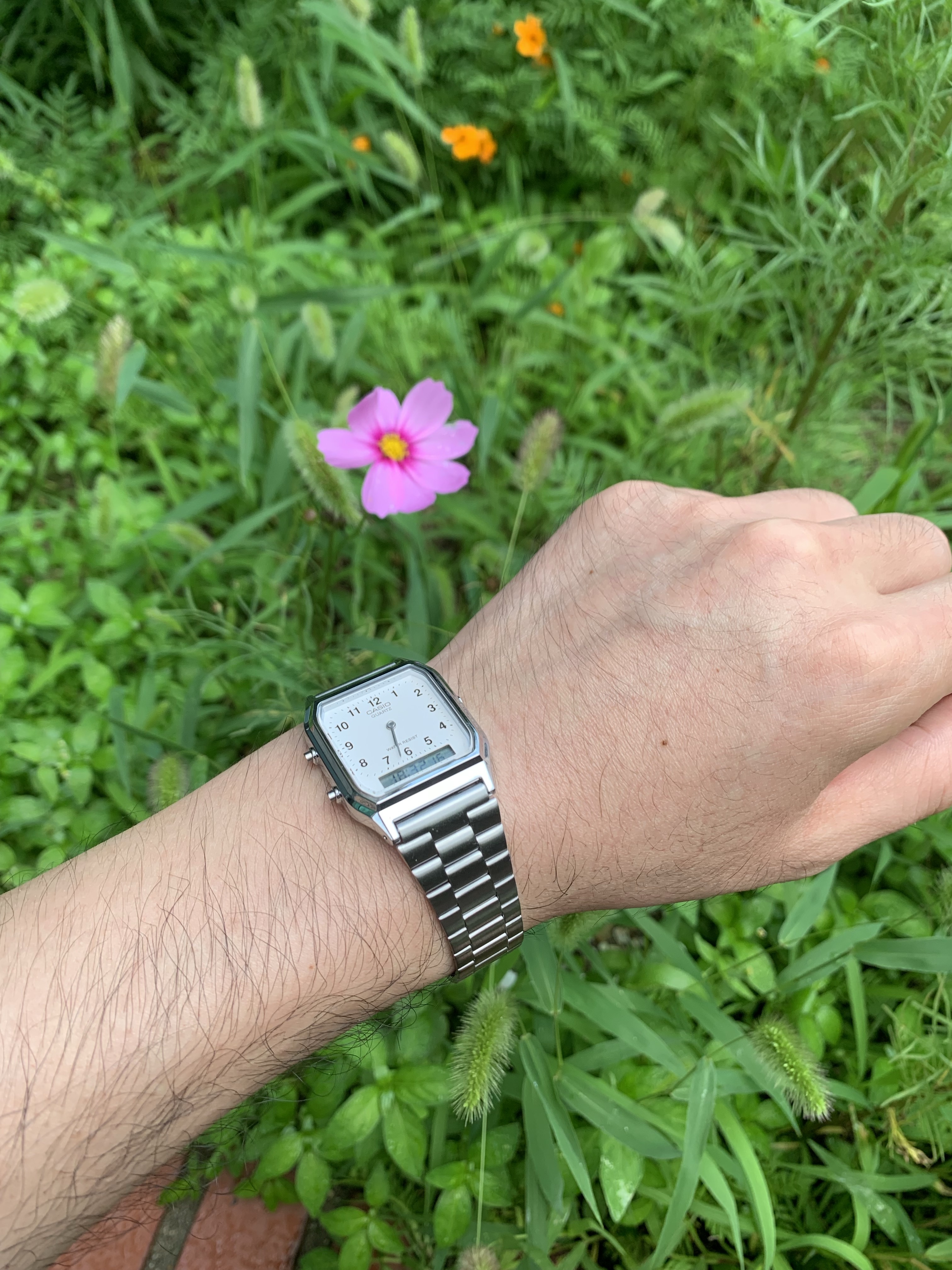 Casio AQ-230A-7B 착용 스타일 - 1