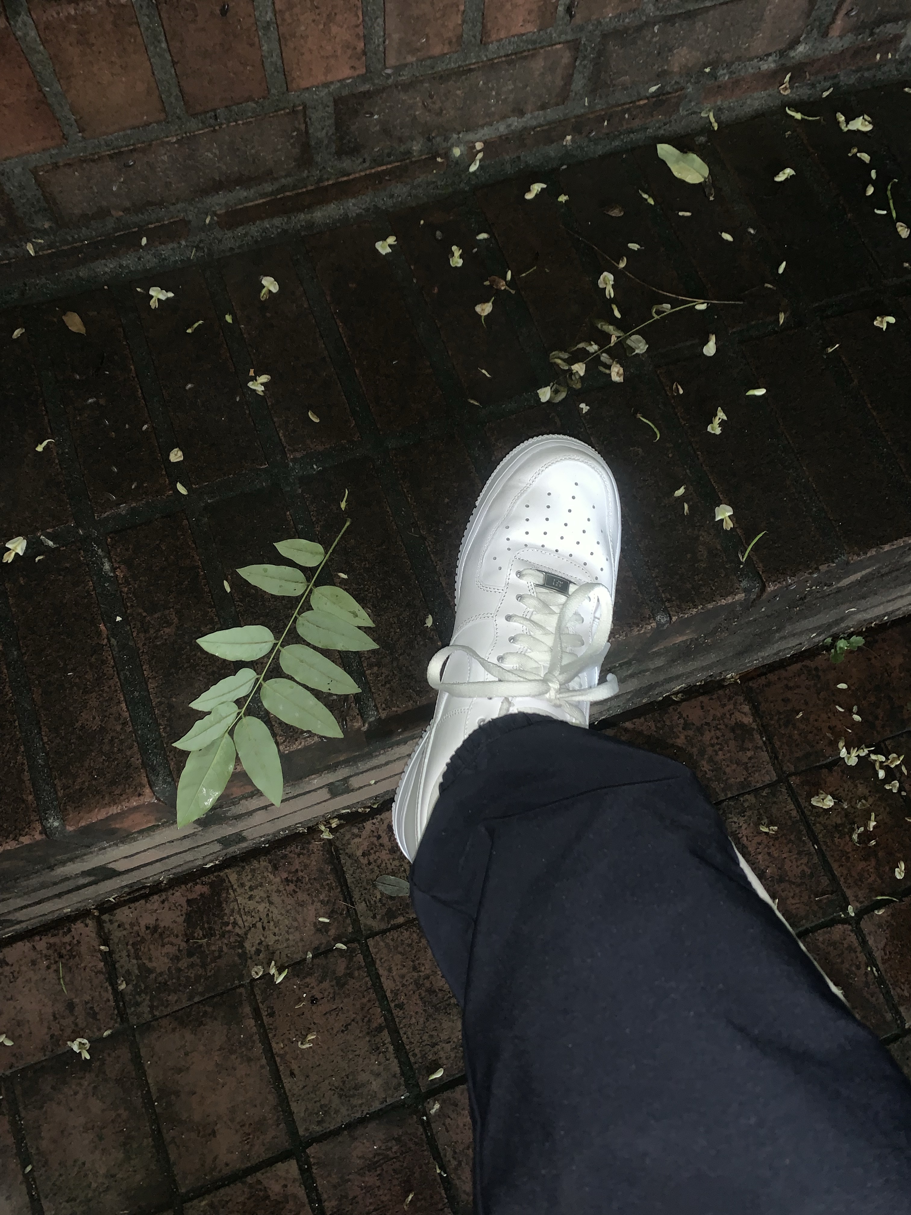 Nike Air Force 1 '07 Low White 착용 스타일 - 1