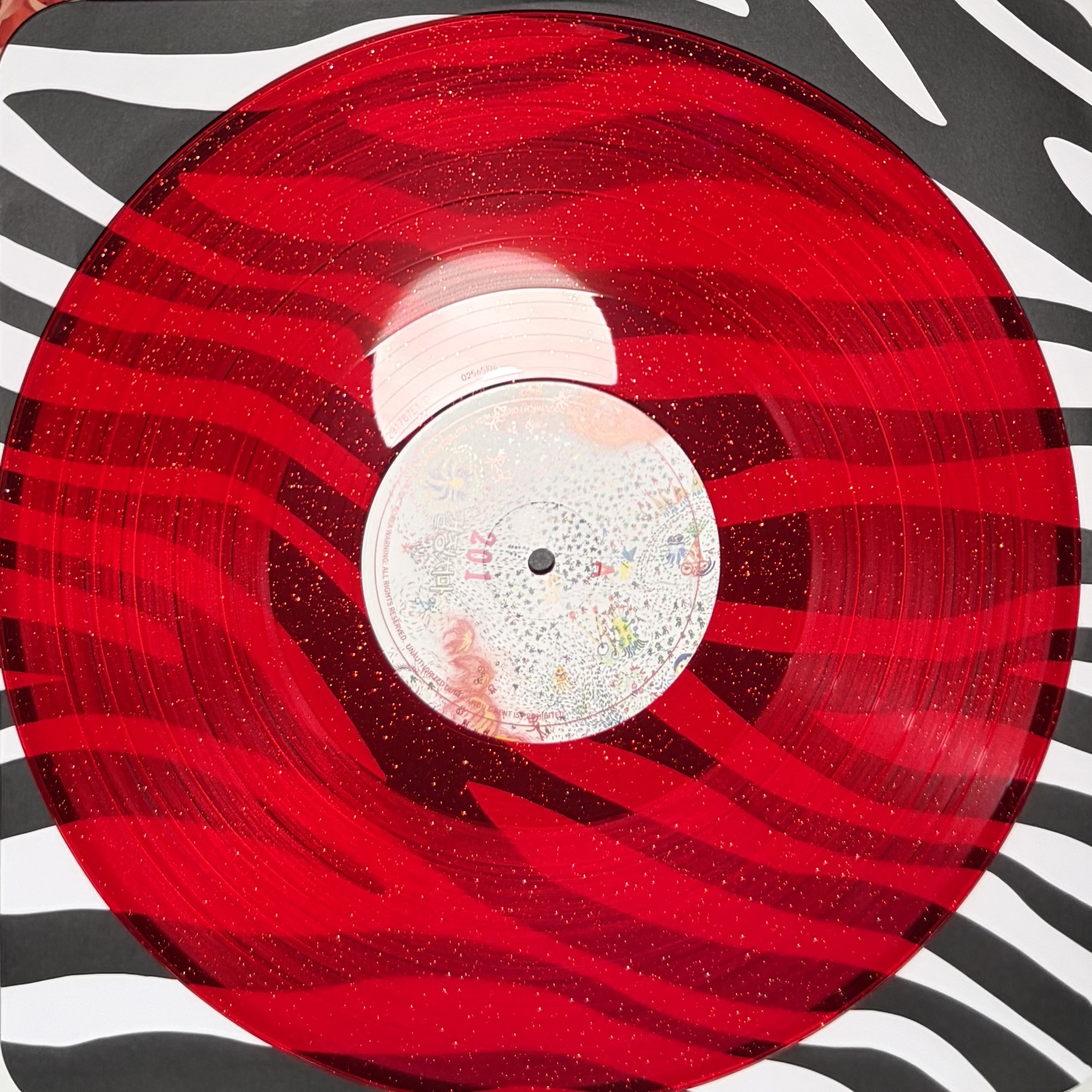 The Black Skirts 1st Album 201 LP Red Glitter 착용 스타일