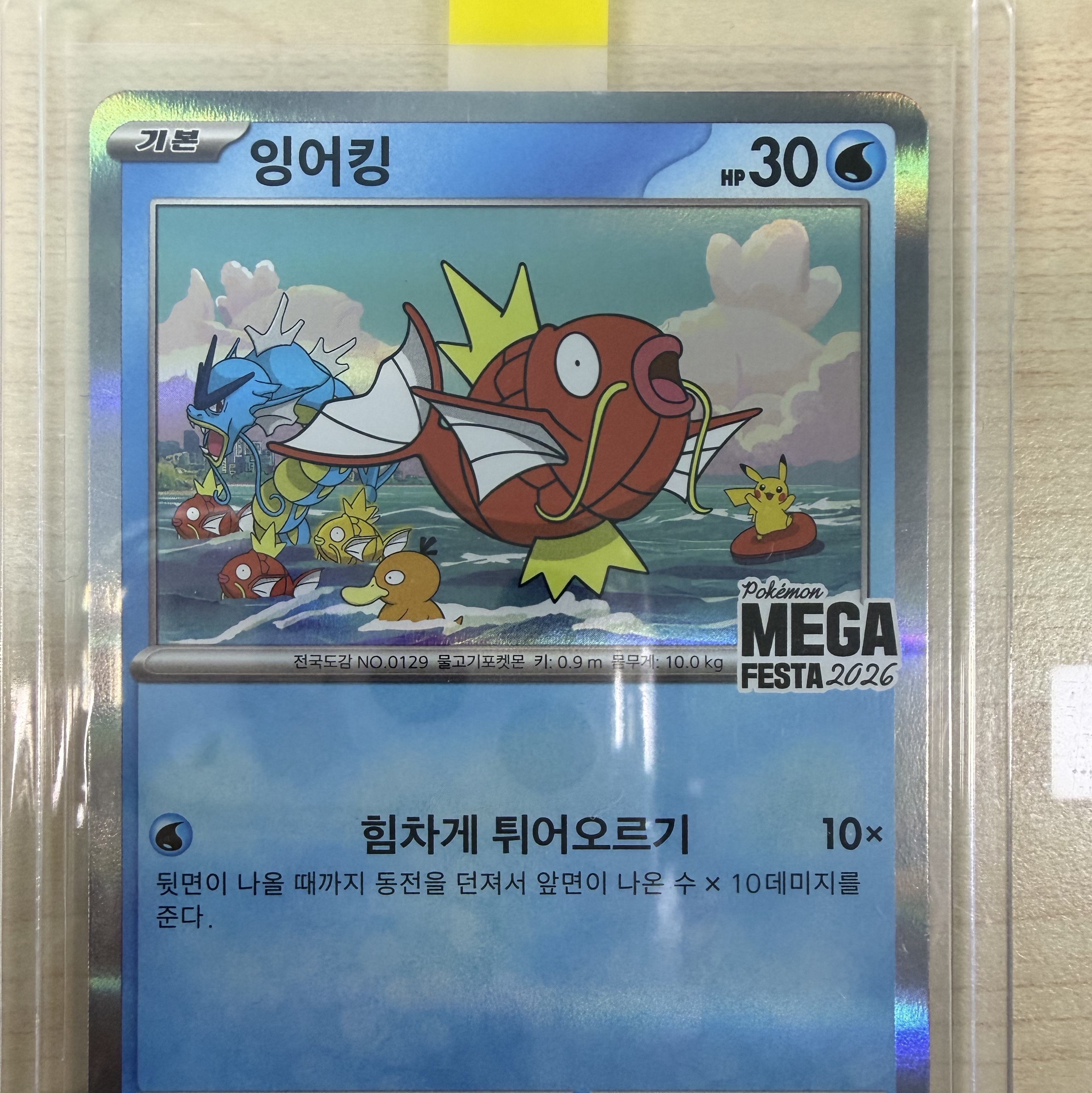 Pokemon TCG Mega Festa 2026 Promo Card Magikarp 착용 스타일 - 1