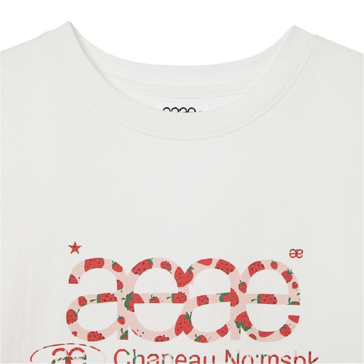 [오프라인 전용] 에이이에이이 우먼 웹 로고 티셔츠 스트로베리 - 26FW([오프라인 전용] AEAE Women Web Logo T-Shirts Strawberry - 26FW) - 3