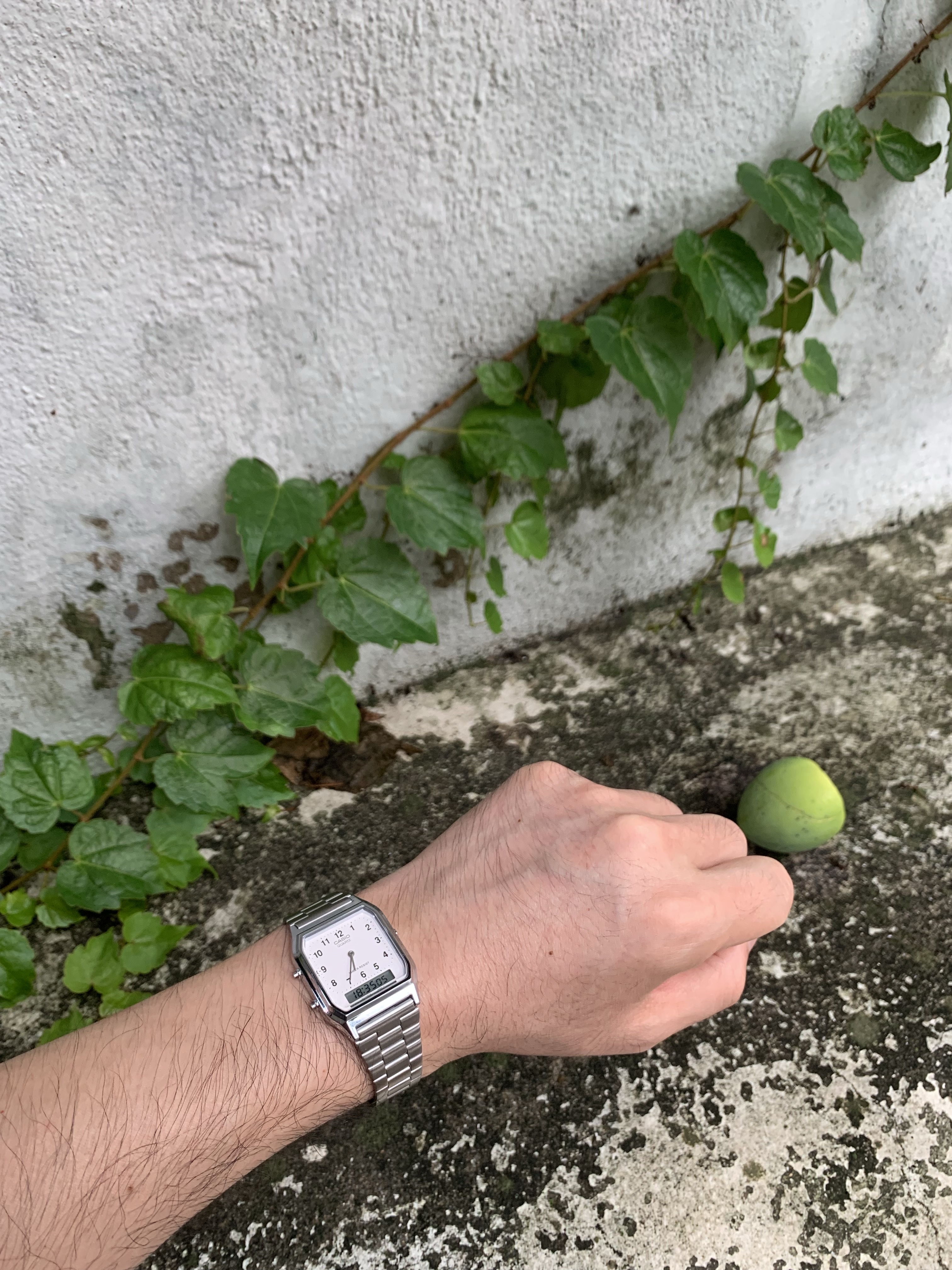 Casio AQ-230A-7B 착용 스타일 - 2