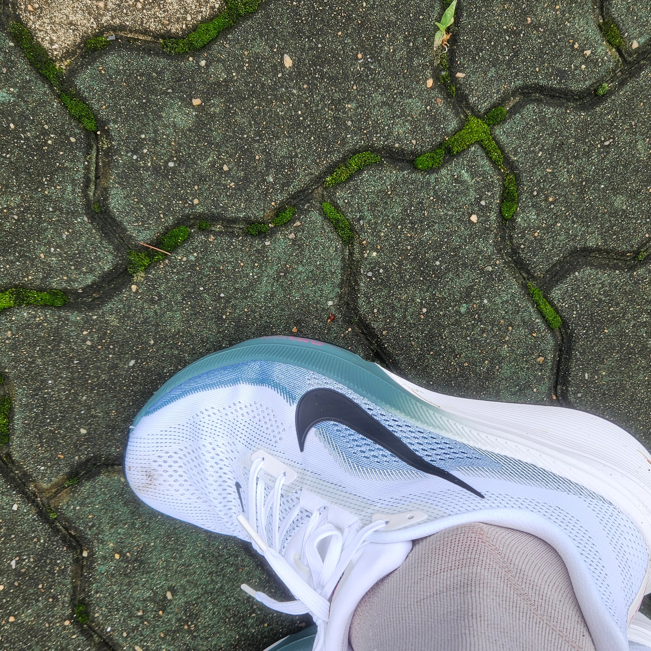 Nike Air Zoom Pegasus 42 White Mineral Slate 착용 스타일