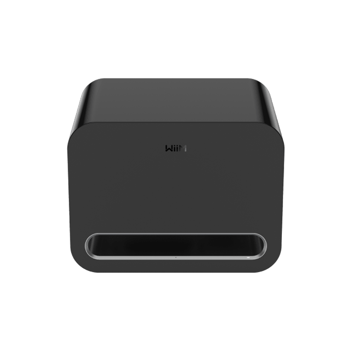 윔 서브 프로 서브 우퍼(WiiM Sub Pro Sub Woofer) - 1