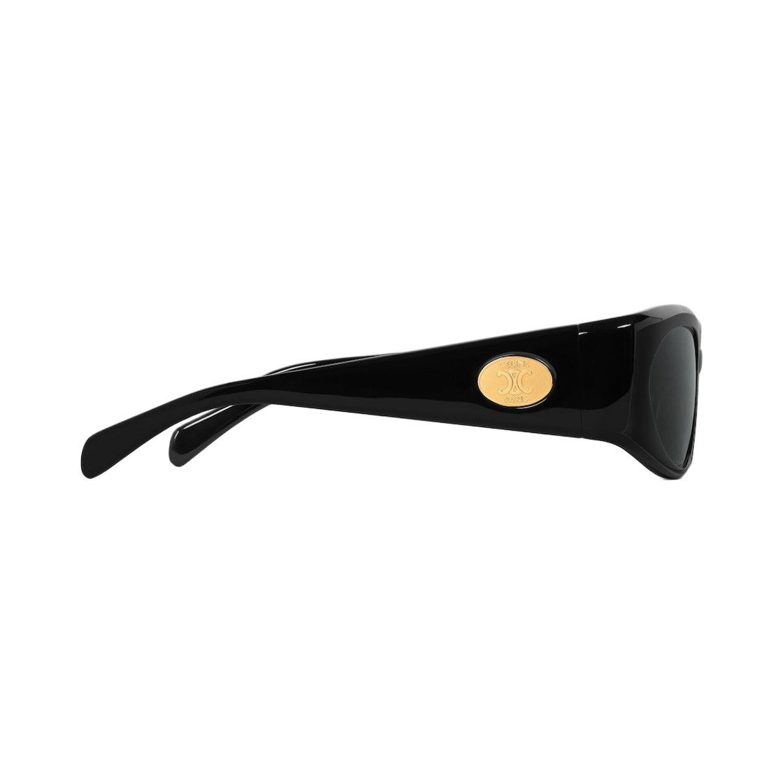 (W) 셀린느 저니 선글라스 아세테이트 블랙((W) Celine Journey Sunglasses in Acetate Black) - 3