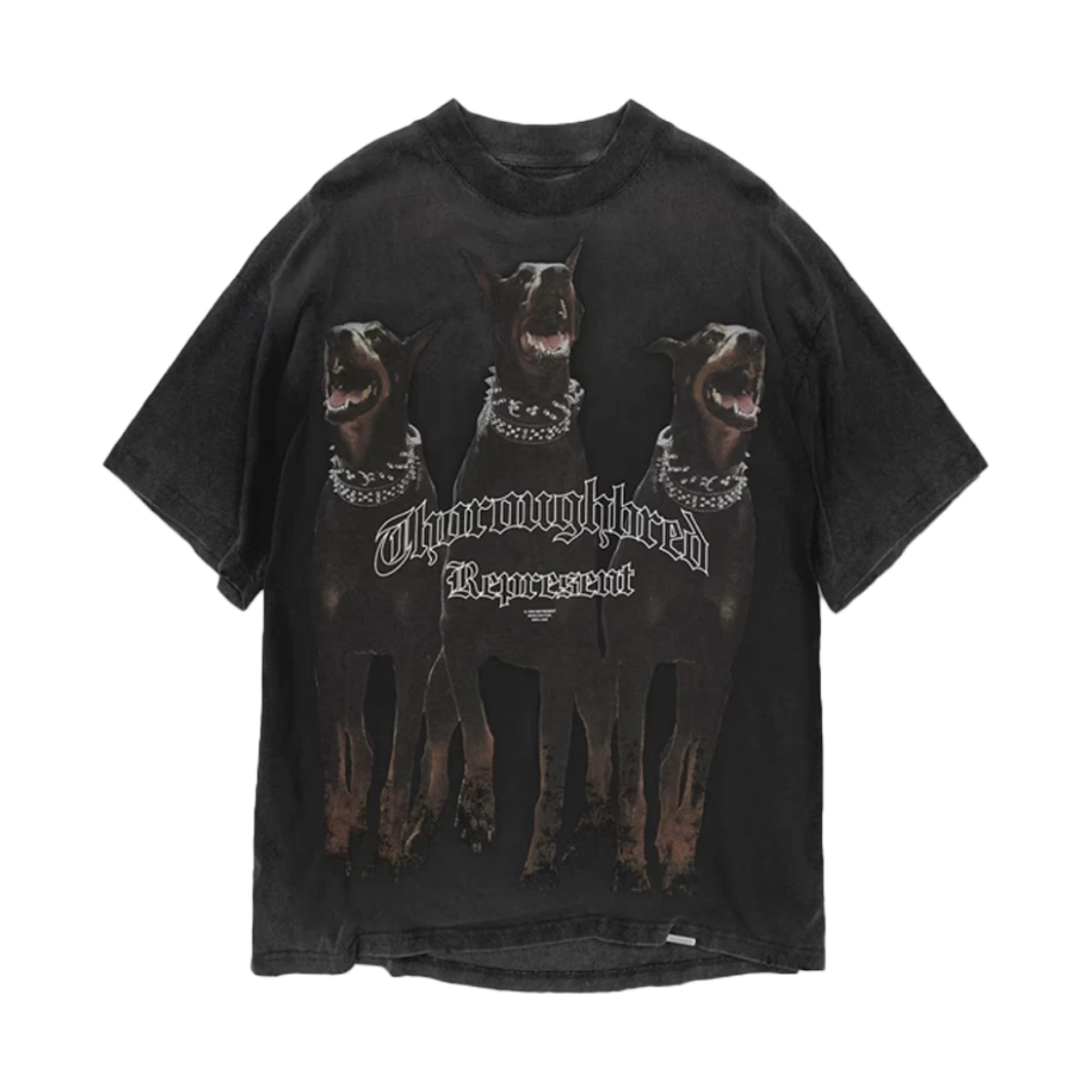리프레젠트 서러브레드 티셔츠 빈티지 블랙 - 25SS(Represent Thoroughbred T-Shirt Vintage Black - 25SS)