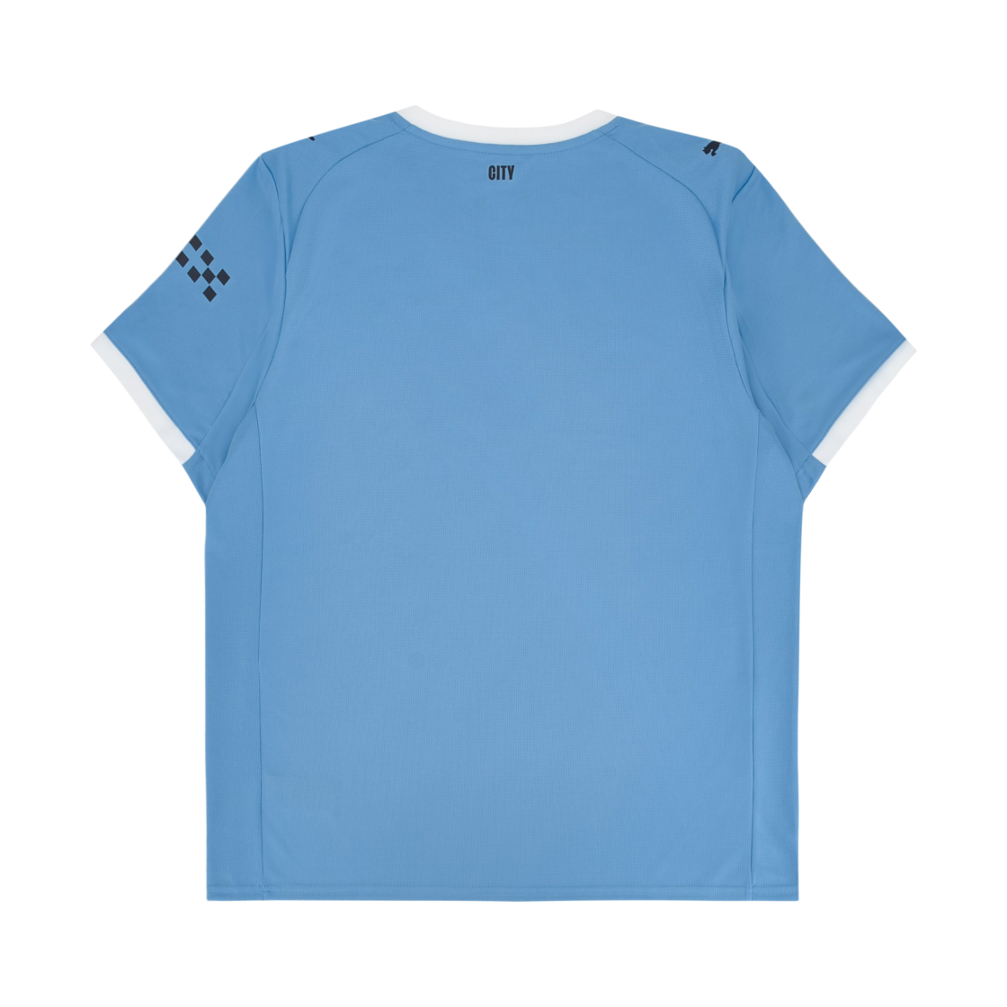 푸마 맨체스터 시티 2025/26 홈 레플리카 저지 팀 라이트 블루 (논 마킹 버전)(Puma Manchester City 2025/26 Home Replica Jersey Team Light Blue (Non Marking Ver.)) - 2