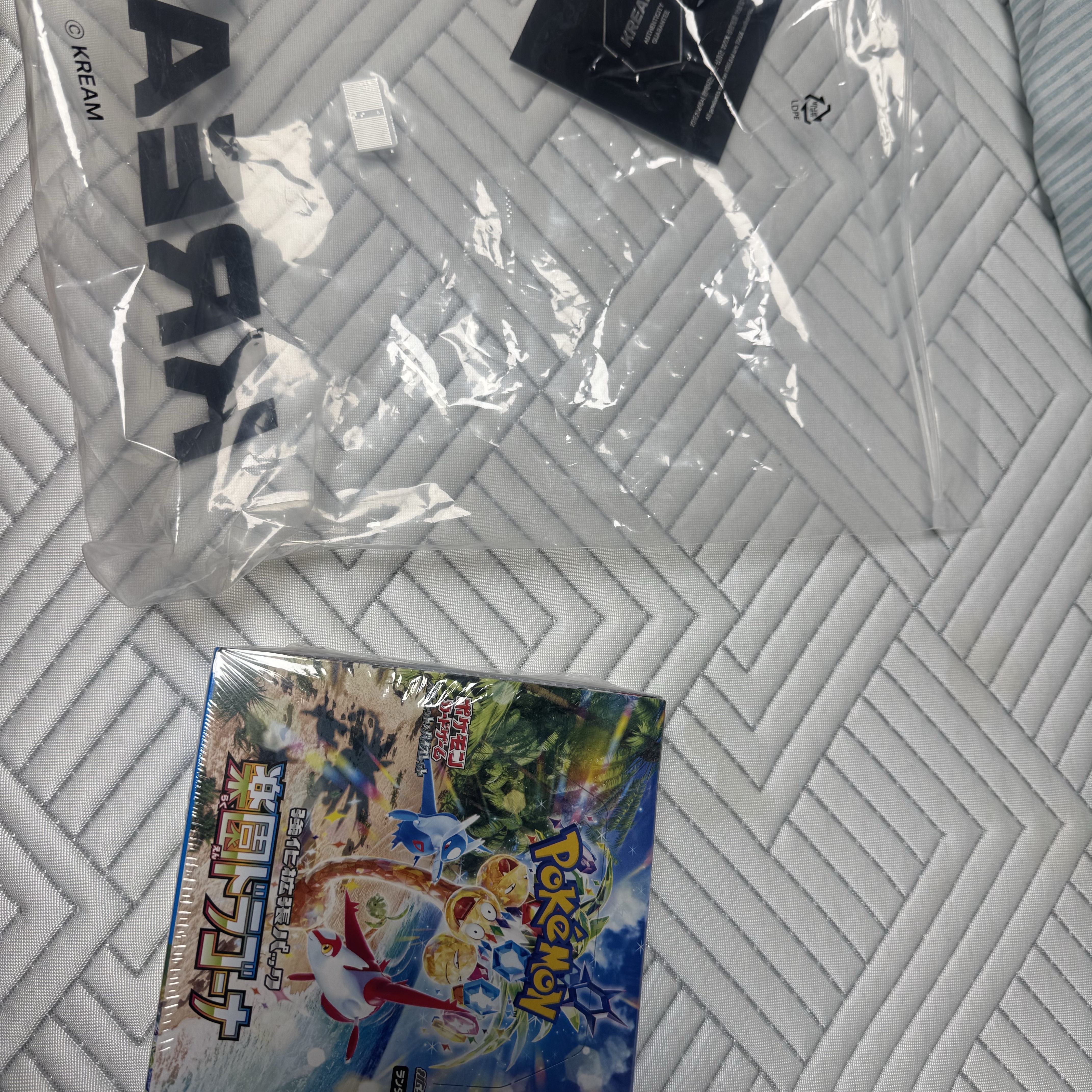 Pokemon TCG Scarlet & Violet Enhanced Expansion Pack Paradise Dragona Box (Japanese Ver.) 착용 스타일 - 2