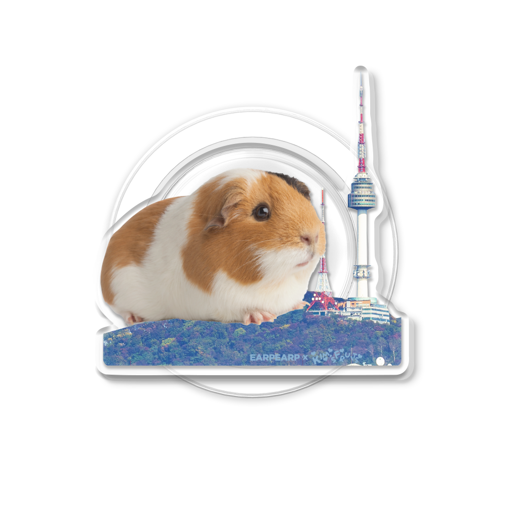 E2607_0057 EARPEARP x Kims Fruits City View MagSafe Acrylic Smart Tok