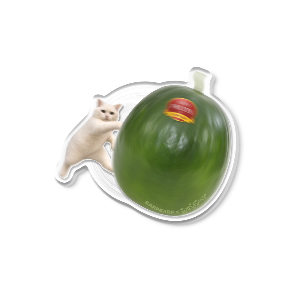 E2607_0071 EARPEARP x Kims Fruits Watermelon Cat Acrylic Smart Tok