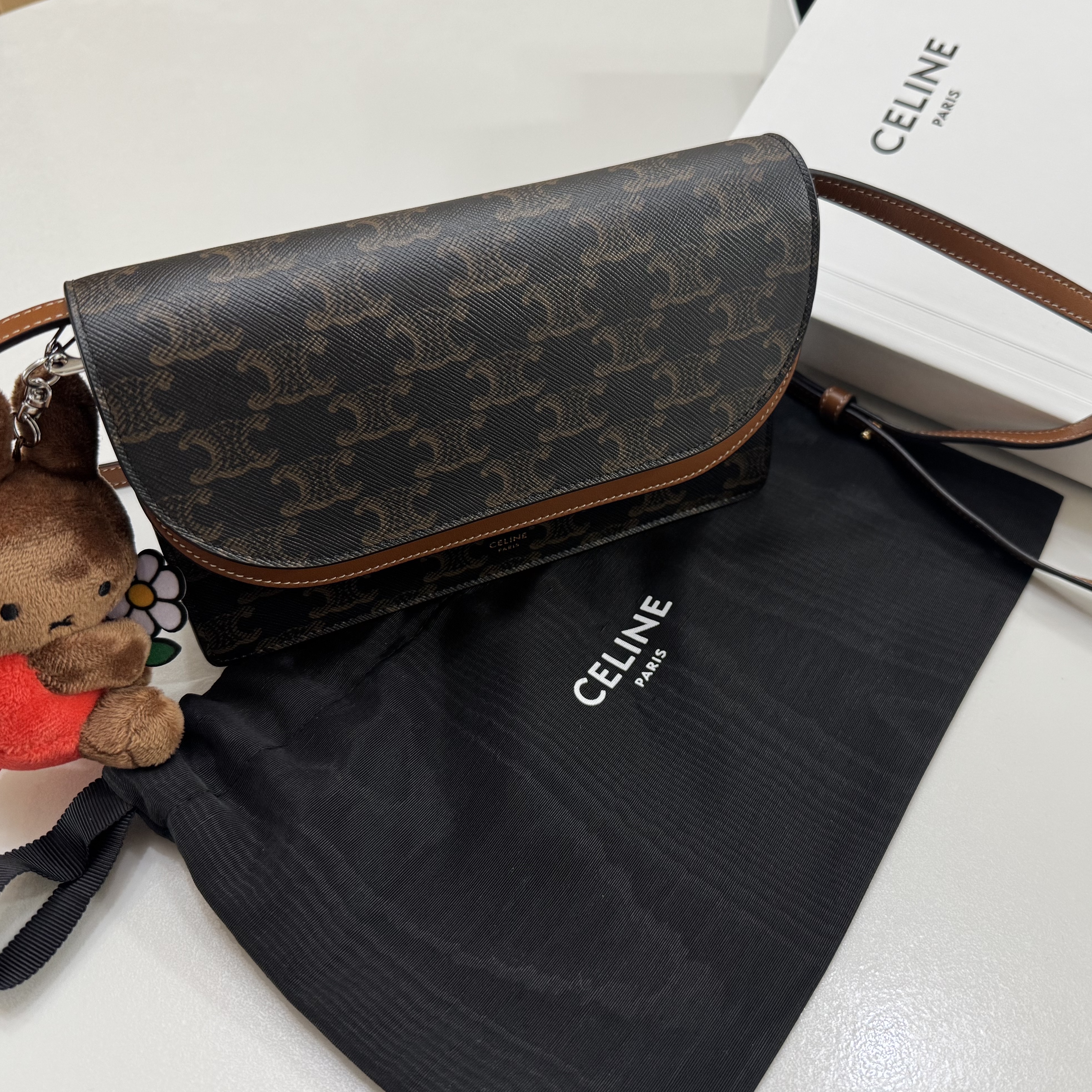 Celine Wallet on Strap in Triomphe Canvas and Smooth Lambskin Tan 착용 스타일