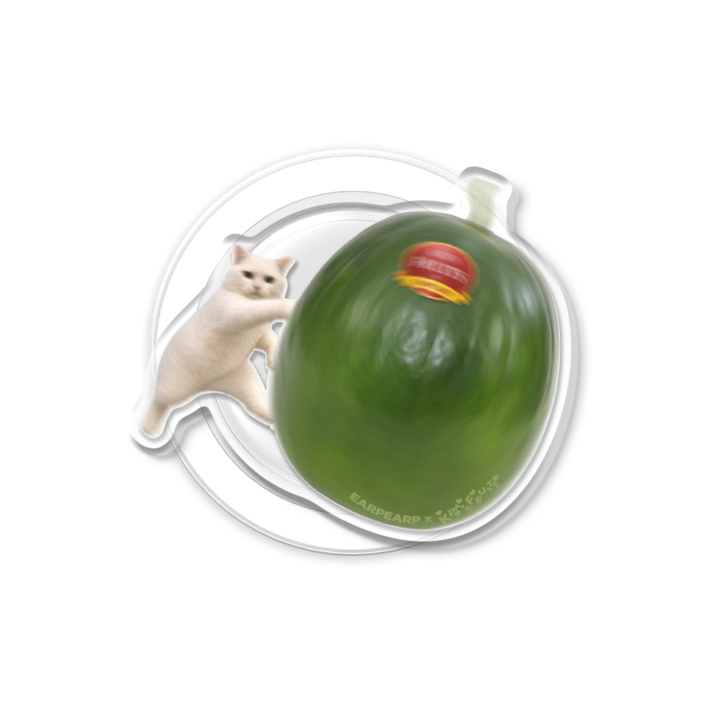 E2607_0060 EARPEARP x Kims Fruits Watermelon Cat MagSafe Acrylic Smart Tok