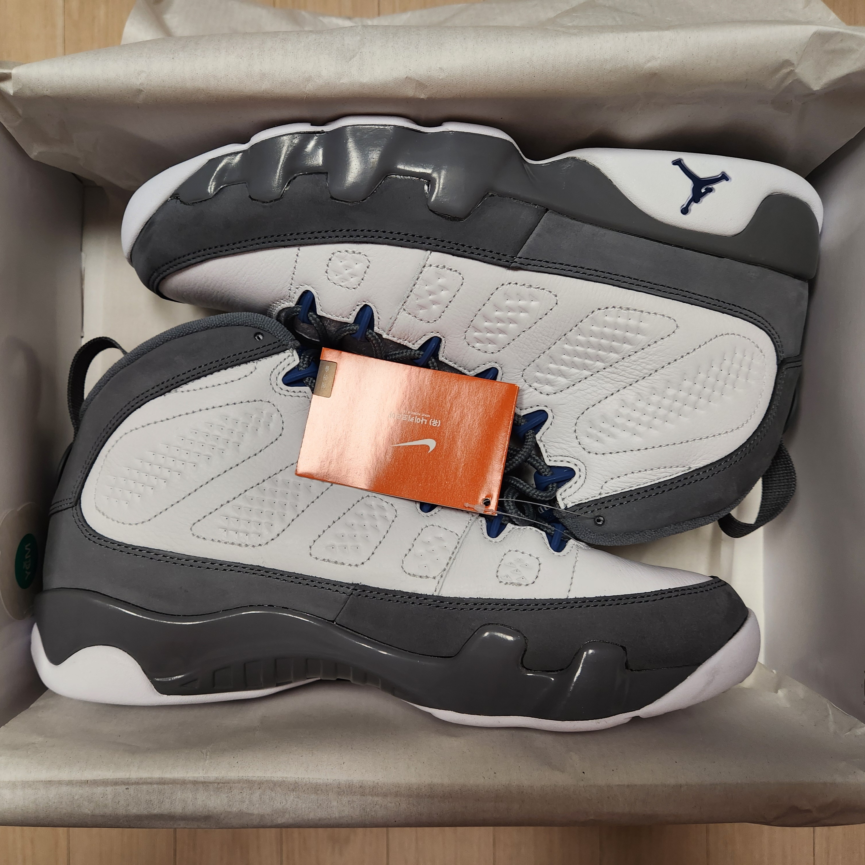 Jordan 9 Flint Grey and French Blue 착용 스타일 - 1