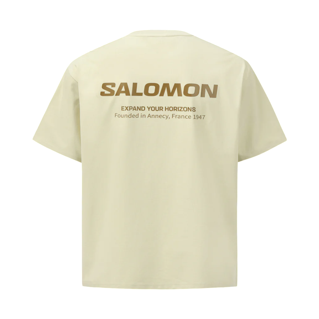 LD0043200 Salomon Primary Short Sleeve Gray Mint