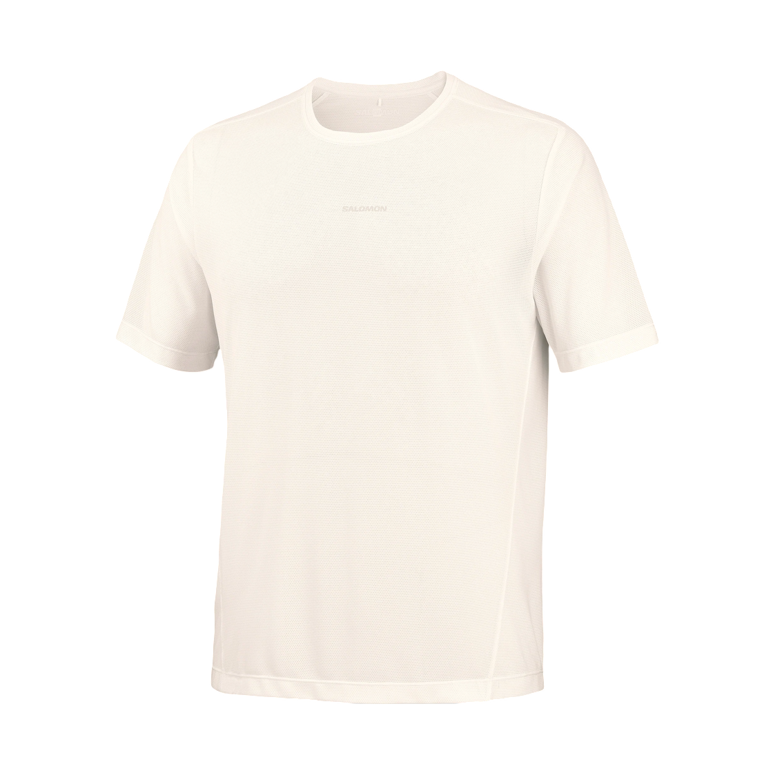 LC3040800 Salomon Shakeout Core Short Sleeve GFX White