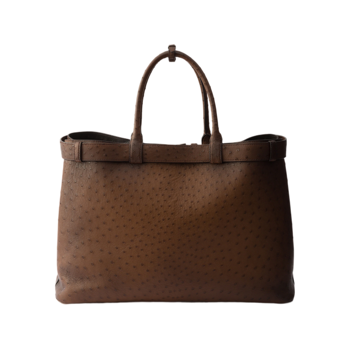 프라다 버클 오스트리치 레더 토트백 토바코(Prada Buckle Ostrich Leather Tote Bag Tobacco) - 2