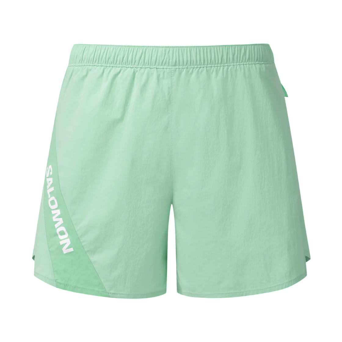LD0091300 Salomon Dynamic 4.5-Inch Running Shorts Mint