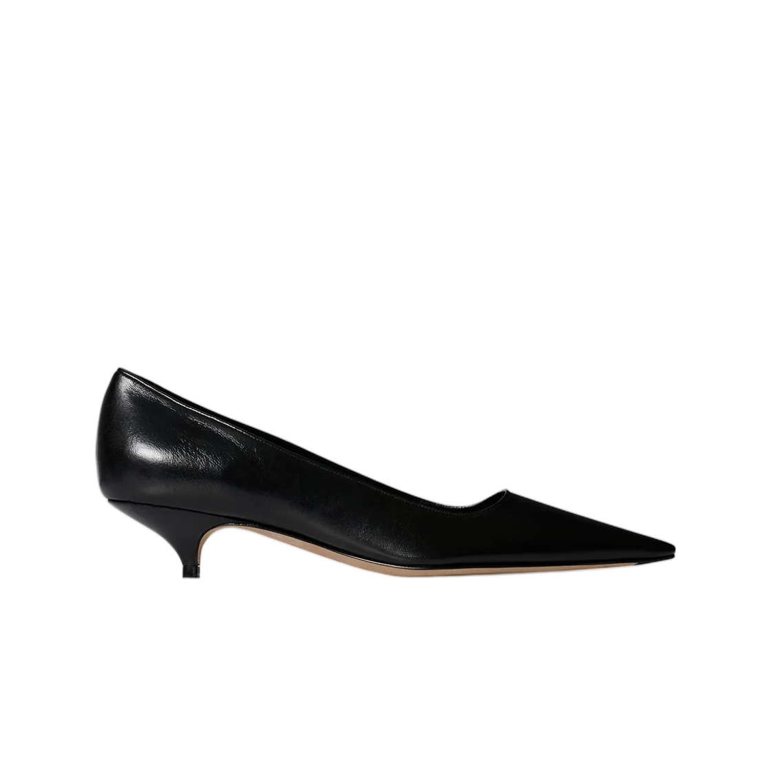 (W) 더 로우 리사 키튼 쓰리 힐 블랙((W) The Row Liisa Kitten Three Heel Black) - 1