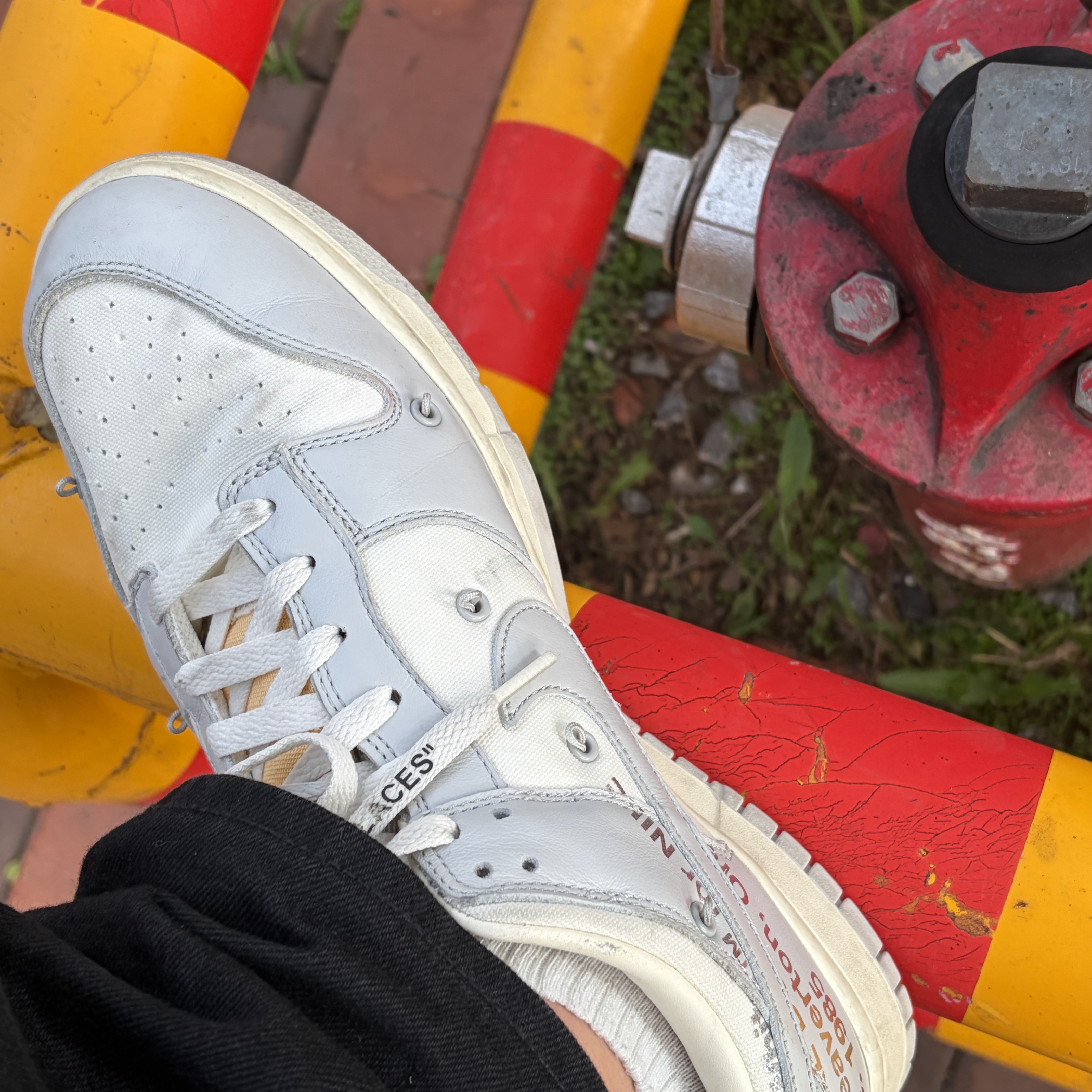 Nike x Off-White Dunk Low The 50 - Lot 46 착용 스타일