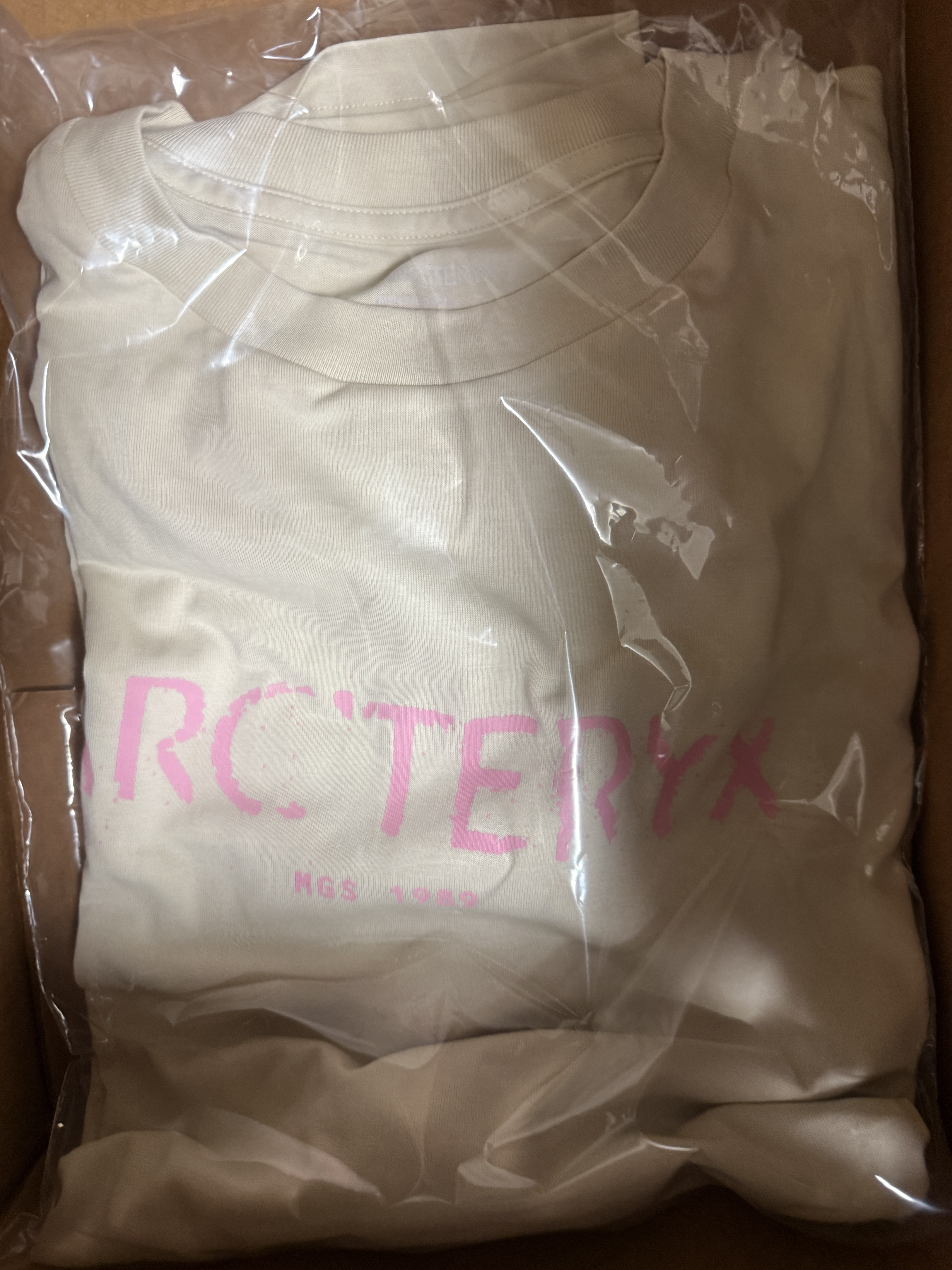 Arc'teryx Kragg SL Cotton Sky Pilot SS T-Shirt Sea Salt Pineberry 착용 스타일