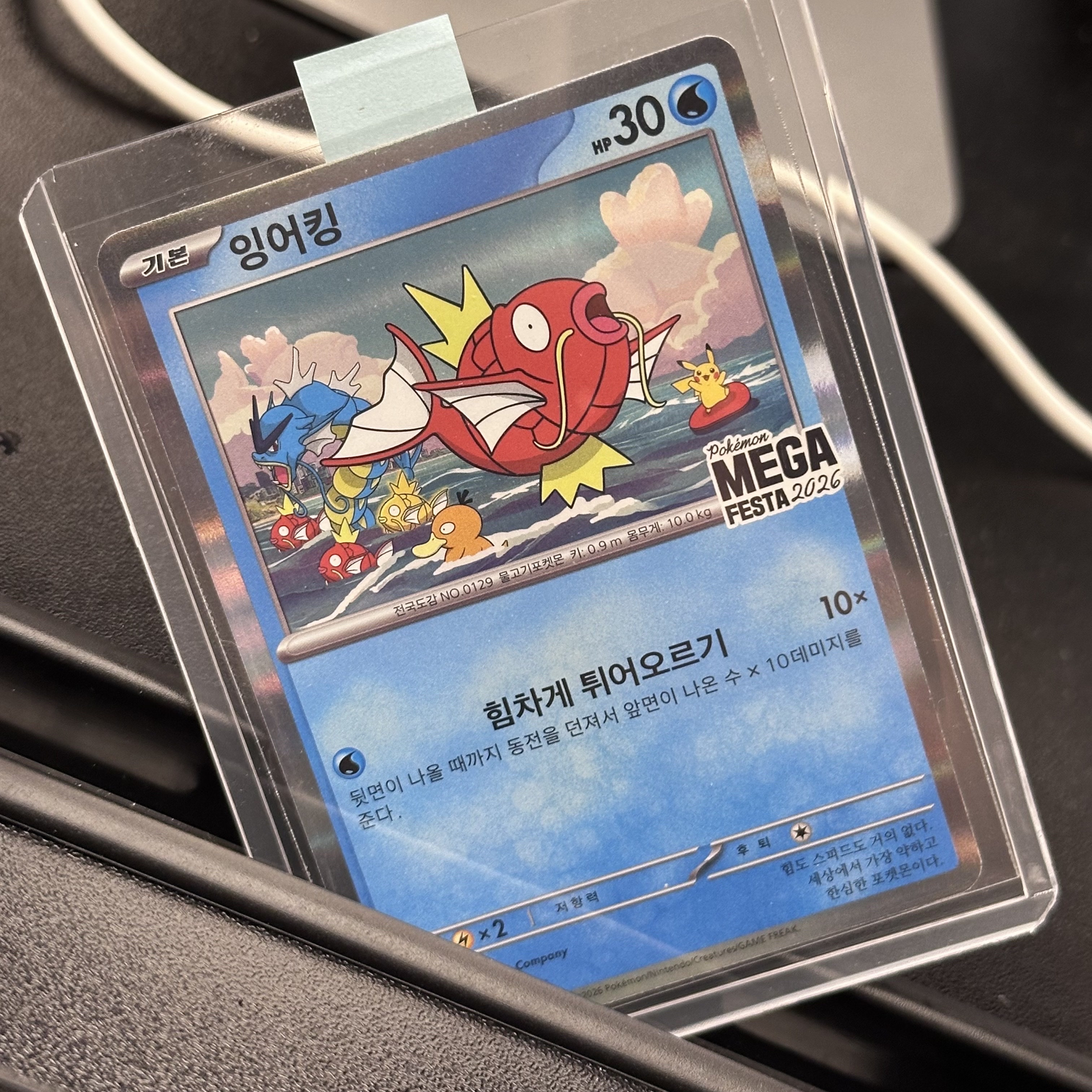Pokemon TCG Mega Festa 2026 Promo Card Magikarp 착용 스타일