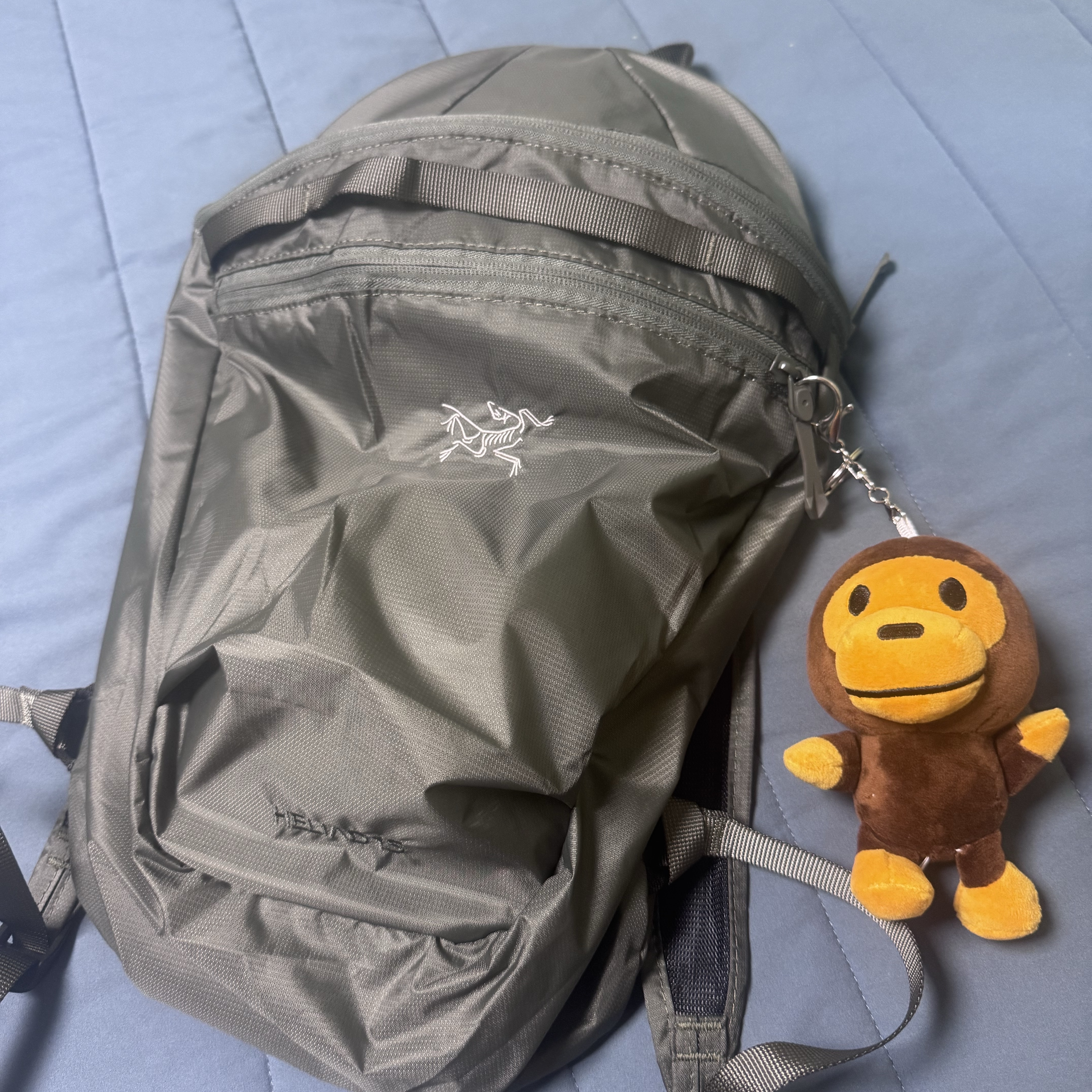 Arc'teryx Heliad 15 Backpack Forage, BAPE Baby Milo Plush Doll Keychain Brown 착용 스타일