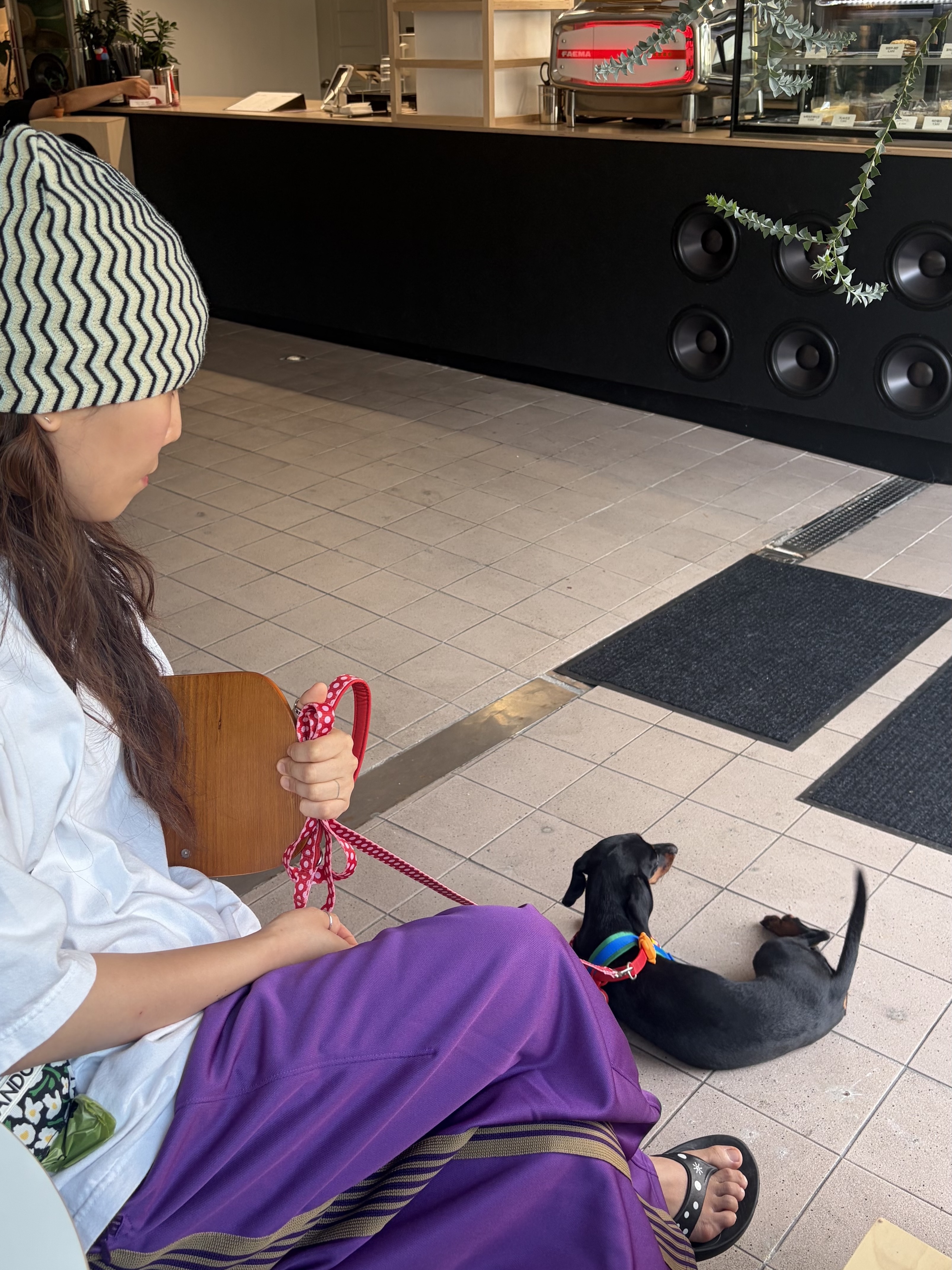Stussy Skullcap Crinkle Stitch Cloud, Needles x Kae Tanaka H.D. Track Pants Poly Smooth Purple 착용 스타일 - 1