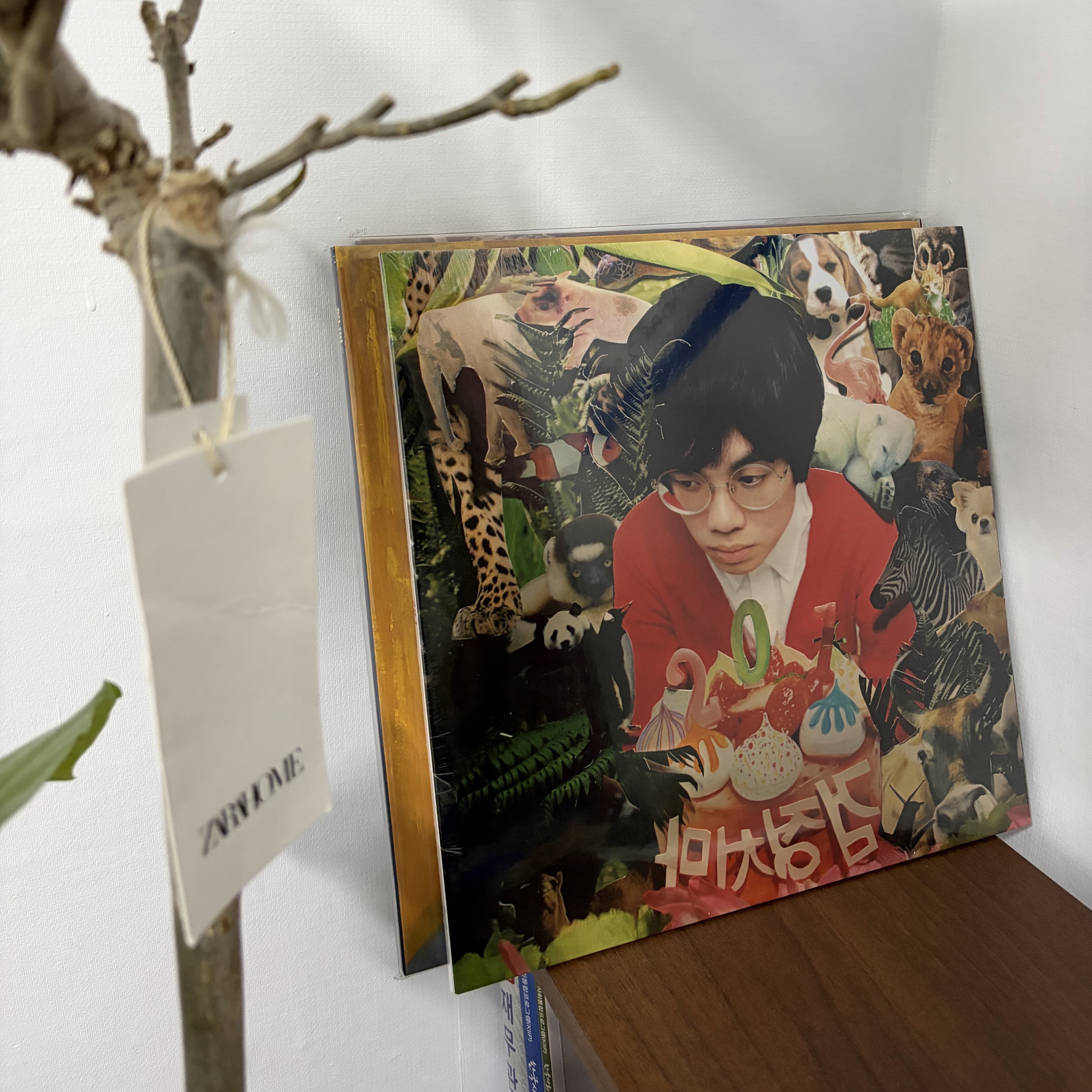 The Black Skirts 1st Album 201 LP Red Glitter, Jannabi Legend LP Blue 2020 착용 스타일