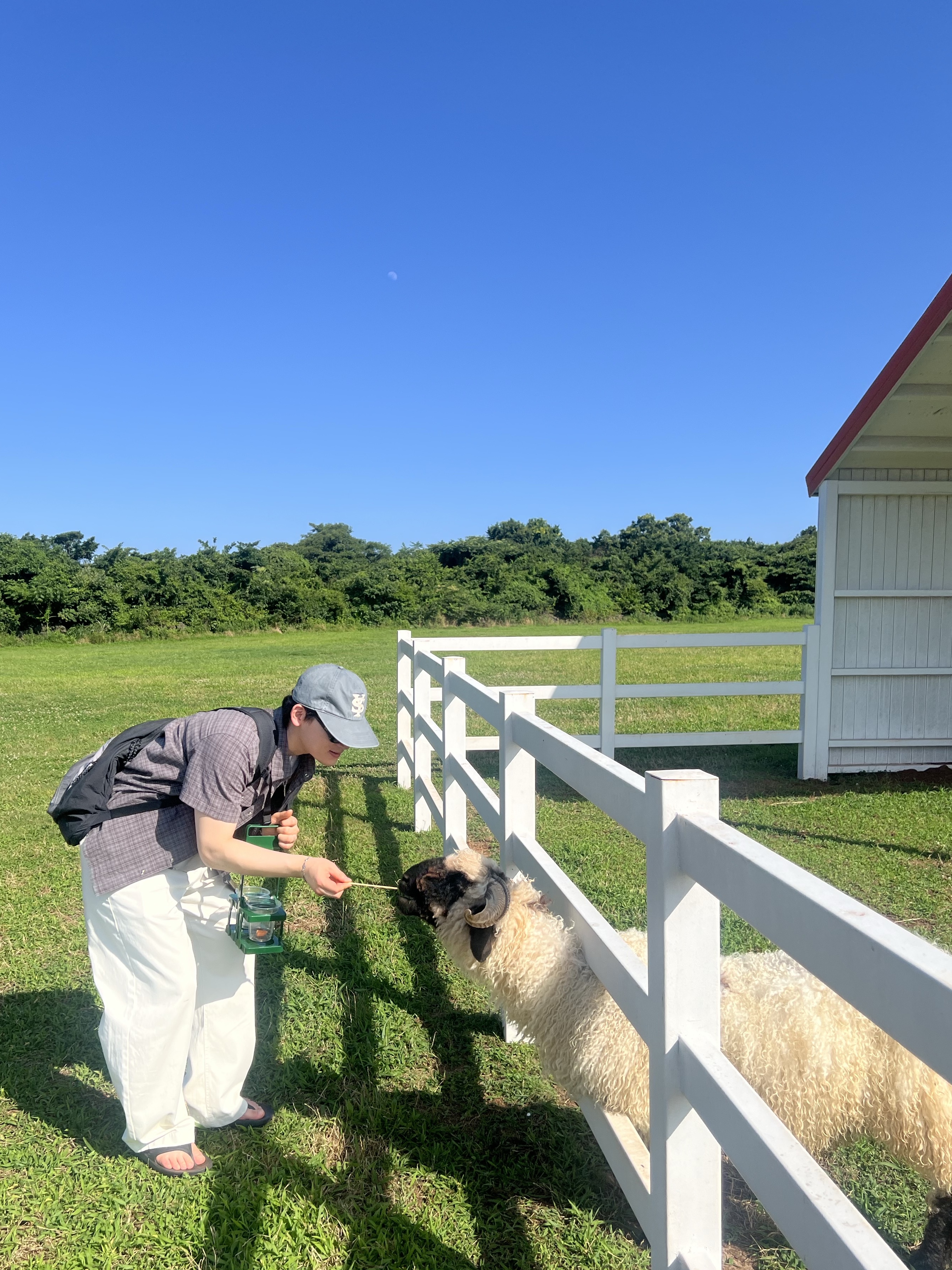 Sunday Ceremony Sy Logo 5 Panel New Cotton Cap - Grayish Blue, Ray-Ban DADDY-O II Polished Black Frame Green Classic G-15 Lenses 착용 스타일 - 5